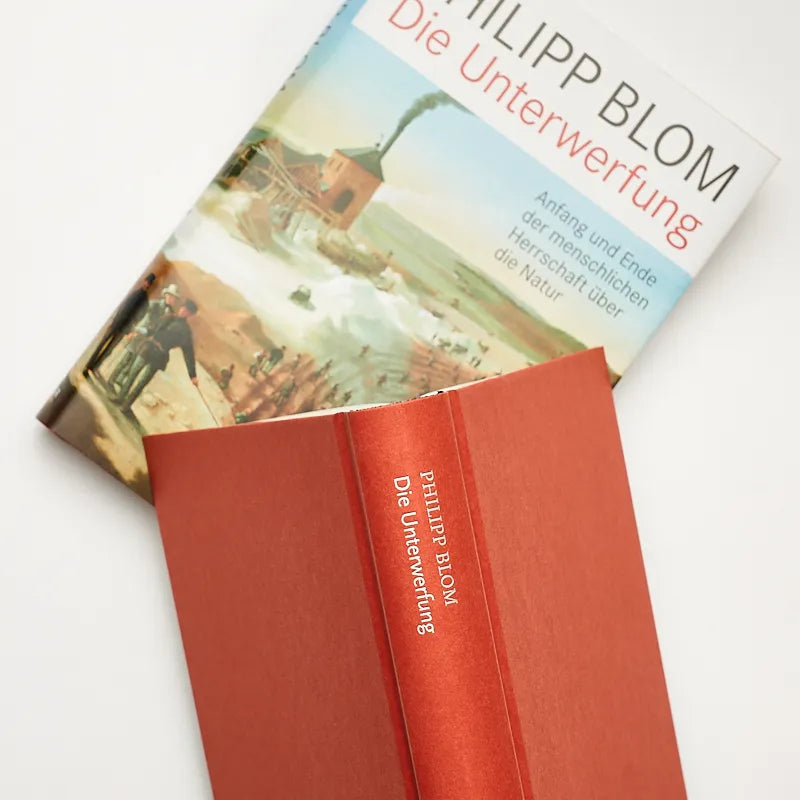 Abbildung von 'Die Unterwerfung'