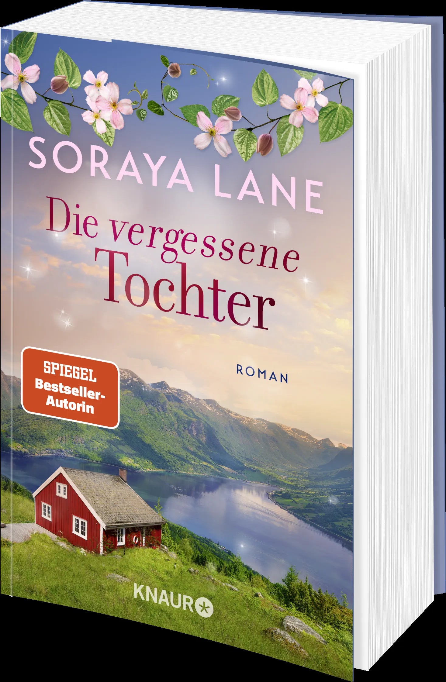 Detailansicht: Die vergessene Tochter (Taschenbuch)
