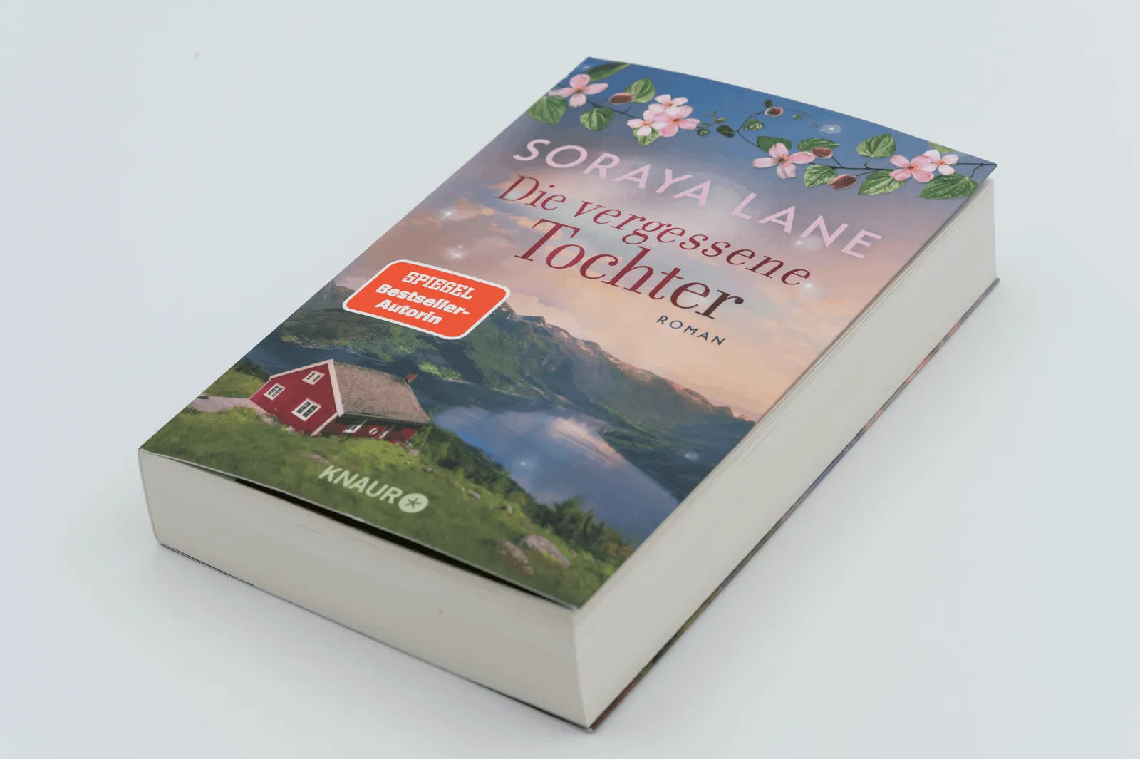 Detailansicht: Die vergessene Tochter (Taschenbuch)