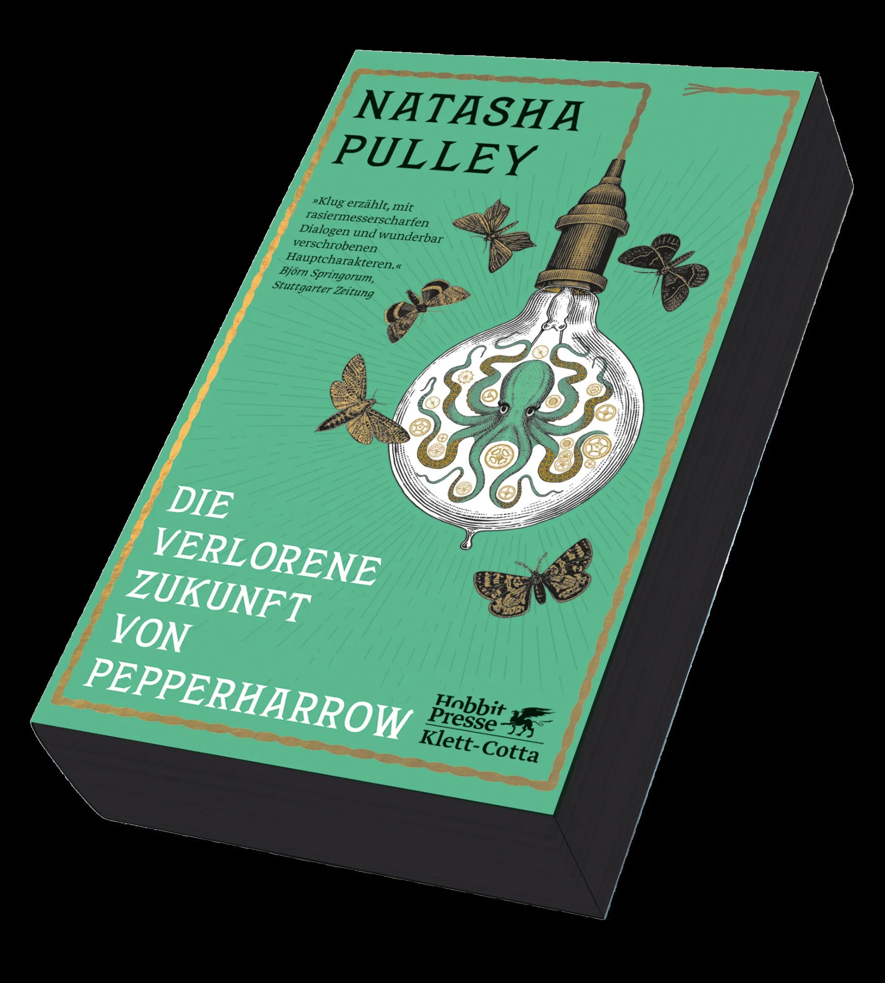 Buchcover von 'Die verlorene Zukunft von Pepperharrow' - Taschenbuch von Natasha Pulley