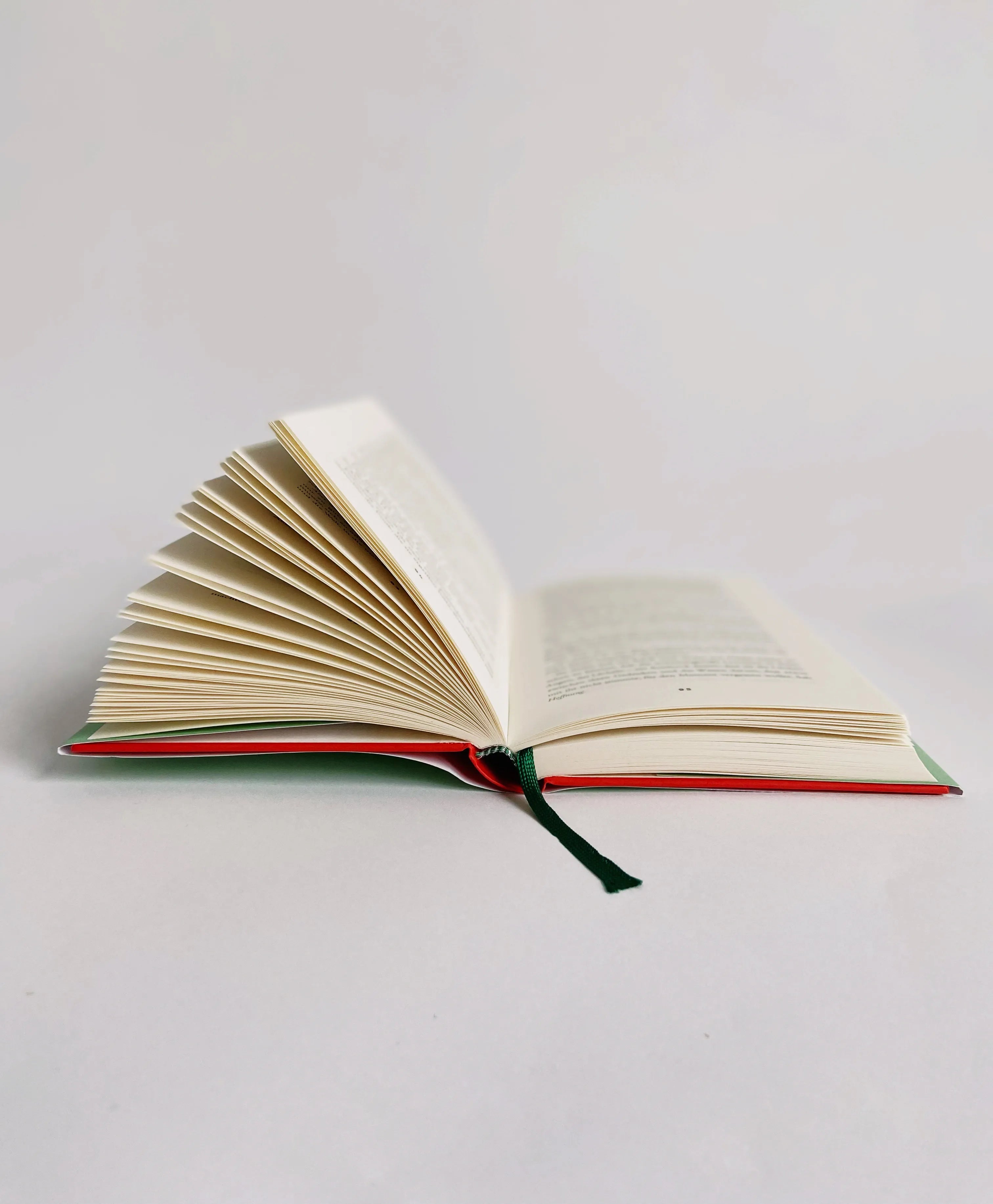 Produktansicht: Die Vermesserin der Worte (Gebundene Ausgabe)