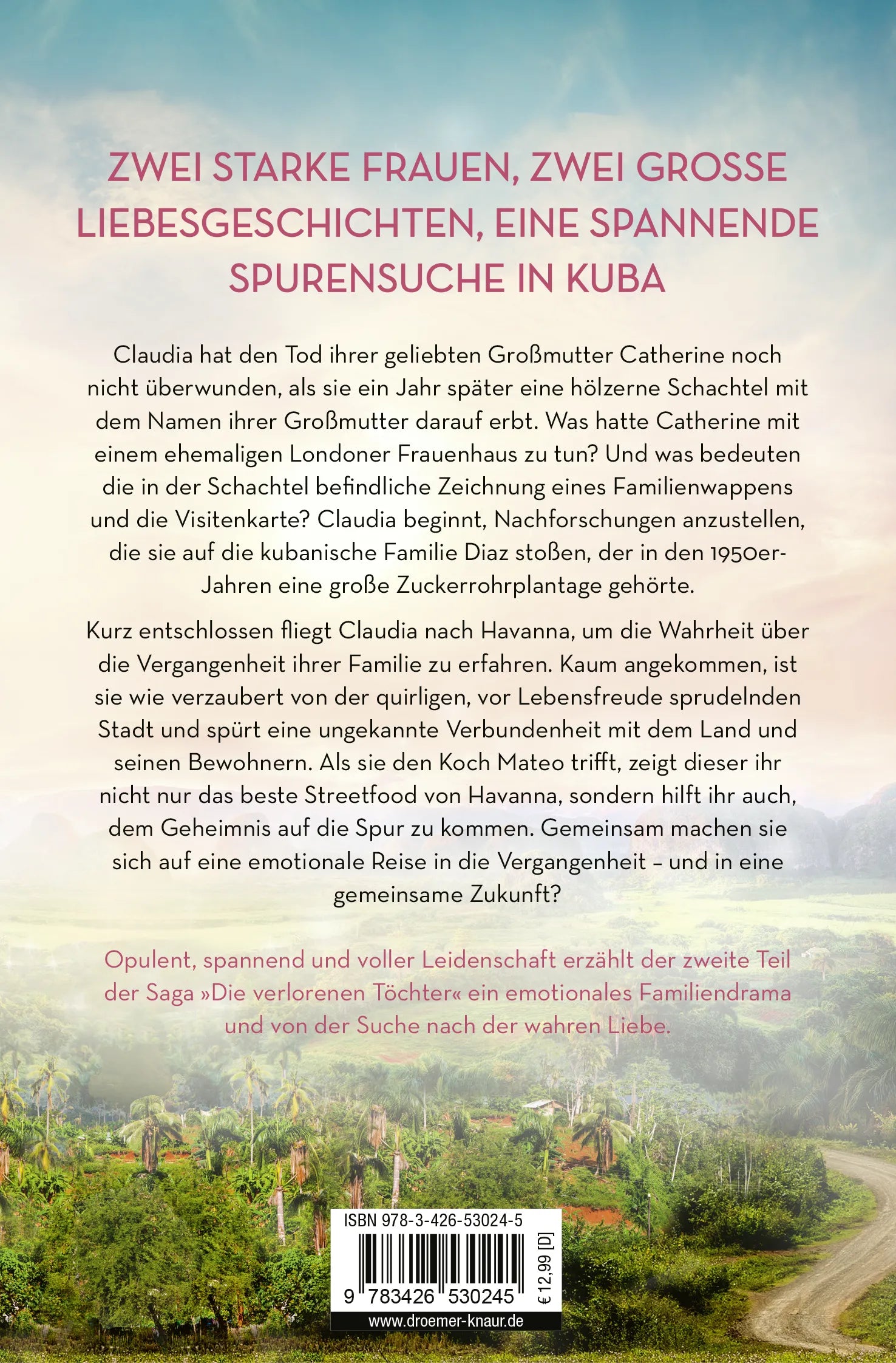 Buchrückseite von 'Die vermisste Tochter' mit Klappentext - Taschenbuch