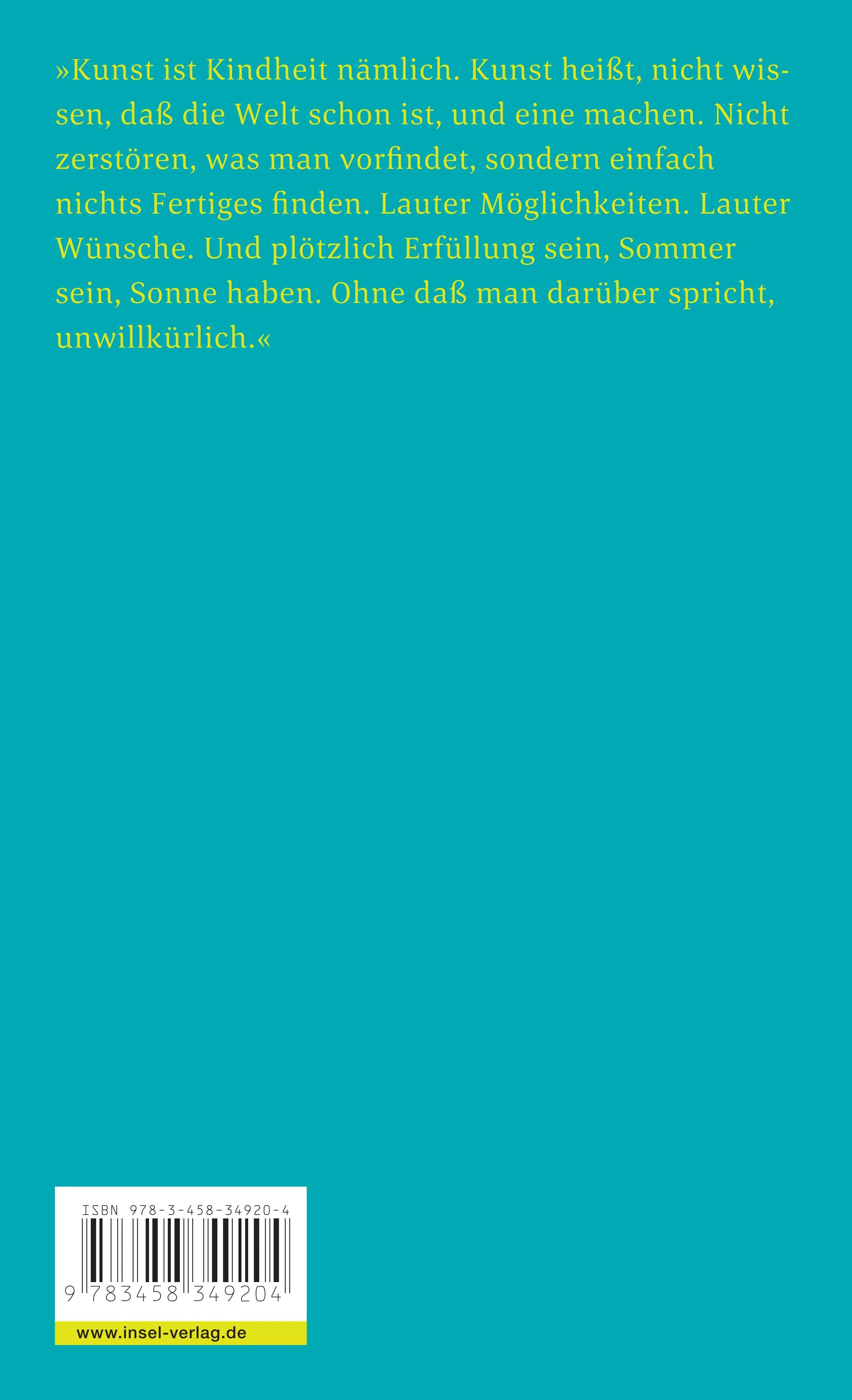 Buchrückseite von 'Die Verwandlung der Welt ins Herrliche' mit Klappentext - Taschenbuch