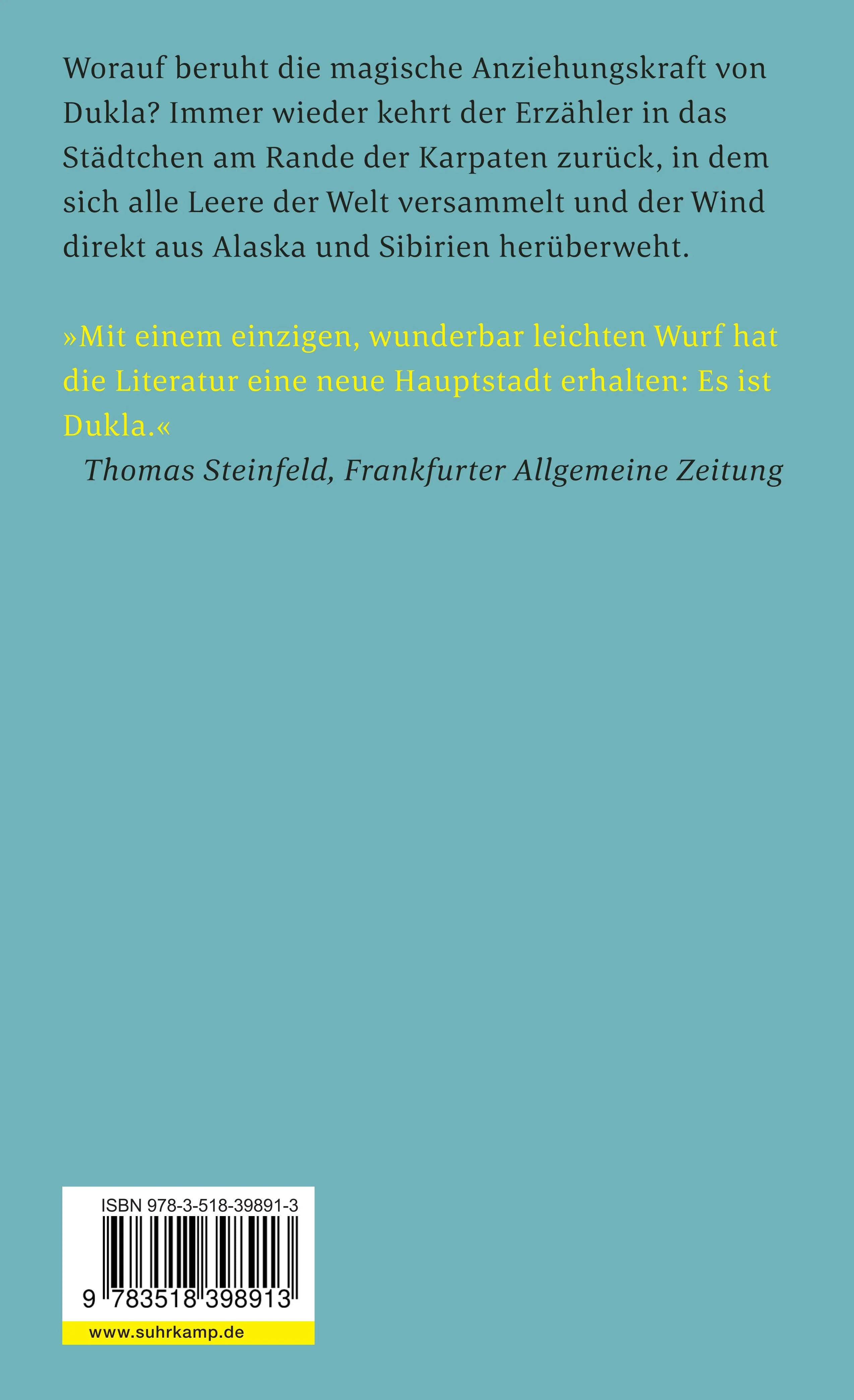 Buchrückseite von 'Die Welt hinter Dukla' mit Klappentext - Taschenbuch