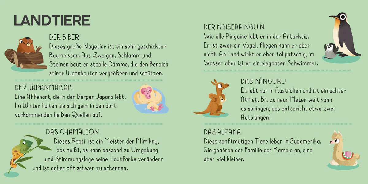Die Welt. Meine Erste Puzzle Box – Ansicht