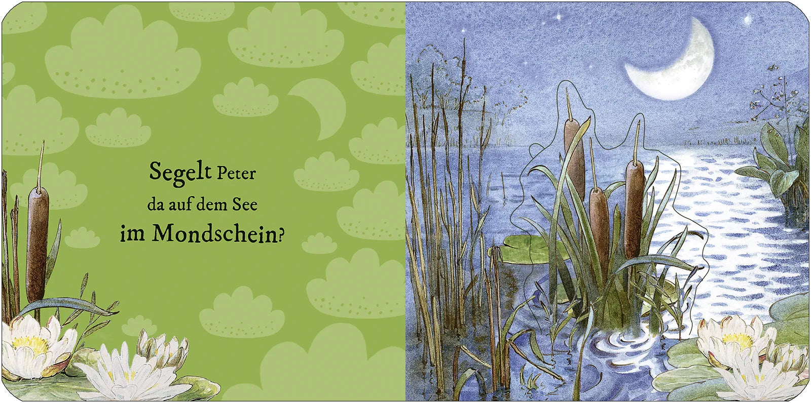 Detailansicht: Die Welt von Peter Hase Träum schön, Peter Hase (Hardcover)