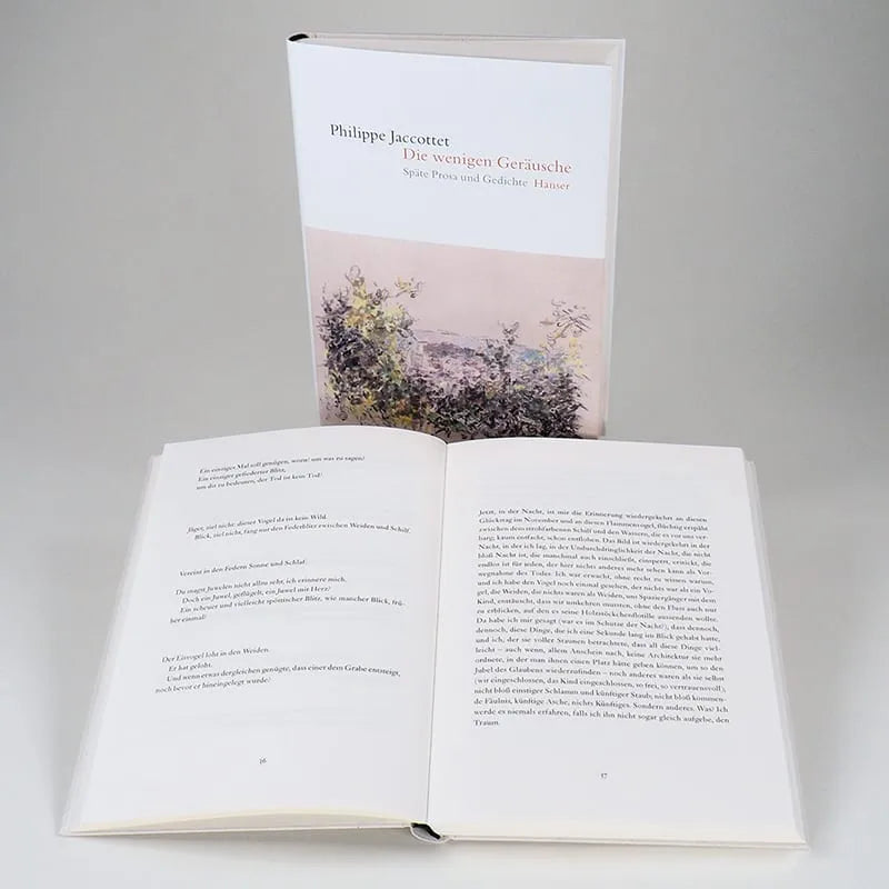 Produktansicht: Die wenigen Geräusche (Gebundene Ausgabe)