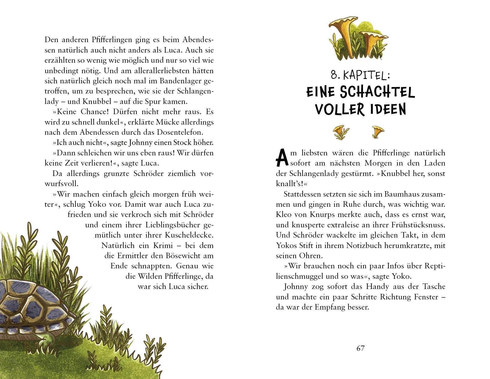 Produktansicht: Die wilden Pfifferlinge – Schildkrötenalarm (Gebundene Ausgabe)