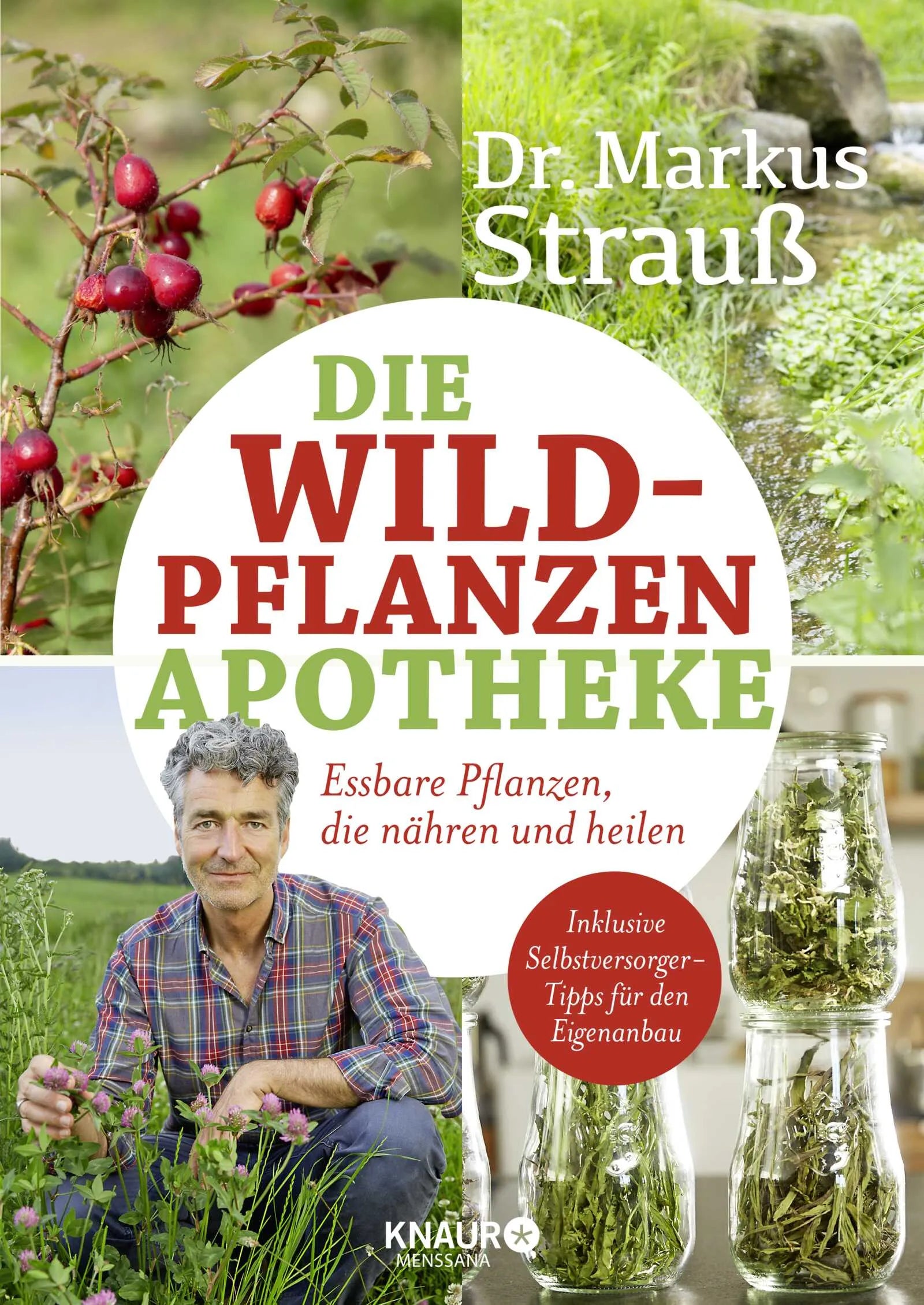Buchcover von 'Die Wildpflanzen-Apotheke' - Paperback von Markus Strauß