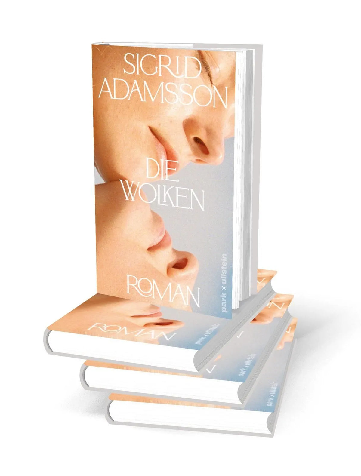 Detailansicht: Die Wolken (Hardcover)