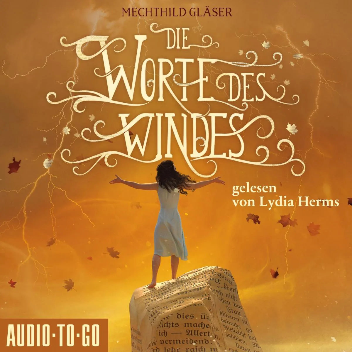 Cover: Die Worte des Windes (Hörbuch Download) von Mechthild Gläser