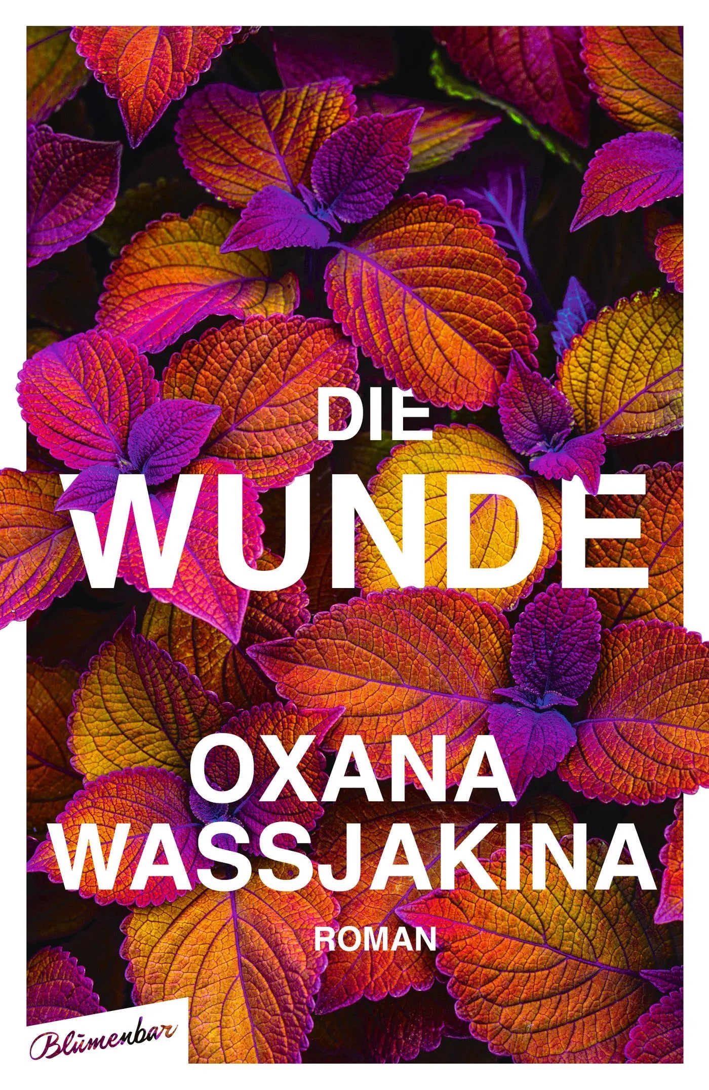 Buchcover von 'Die Wunde' - Gebundene Ausgabe von Oxana Wassjakina