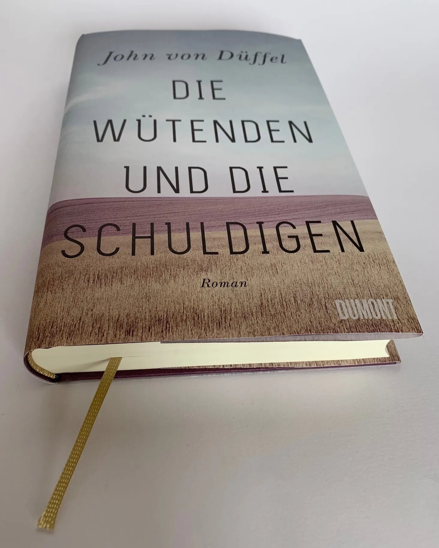 Produktansicht: Die Wütenden und die Schuldigen (Gebundene Ausgabe)