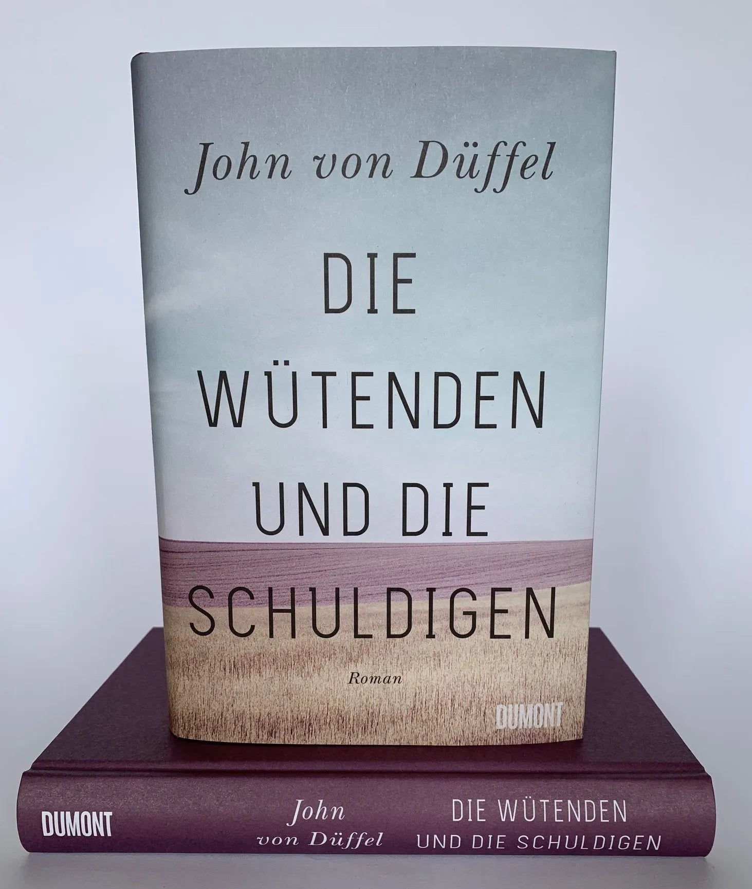 Abbildung von 'Die Wütenden und die Schuldigen'