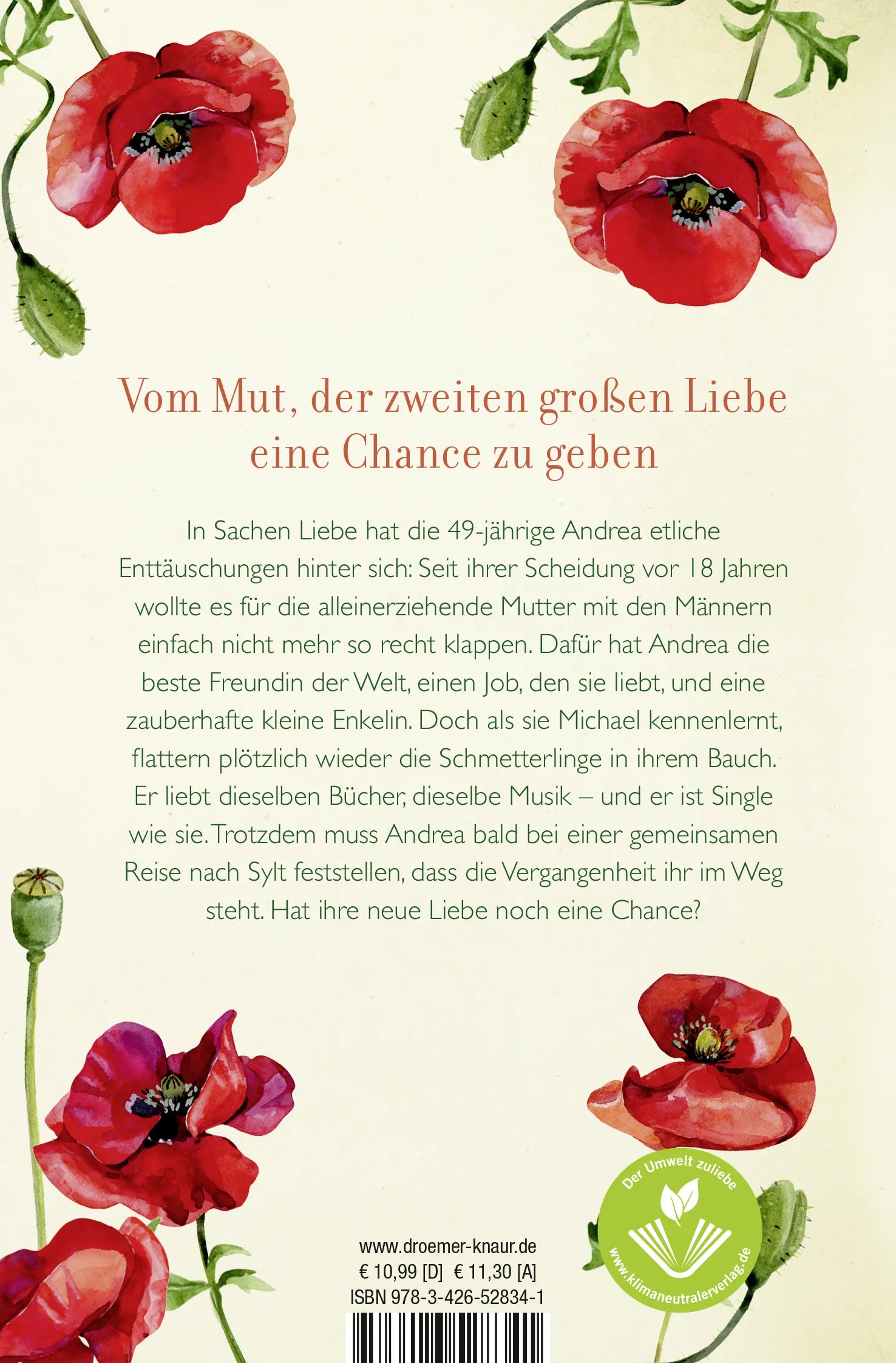 Buchrückseite von 'Die Zärtlichkeit der Wellen' mit Klappentext - Taschenbuch