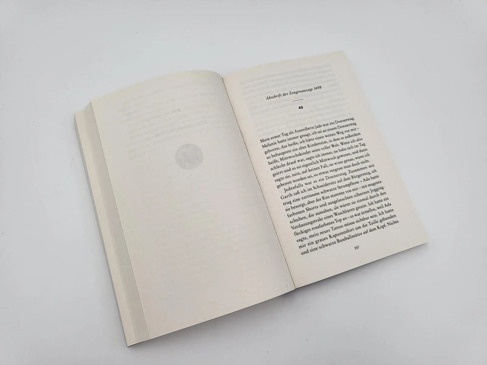 Detailansicht: Die Zeuginnen (Taschenbuch)