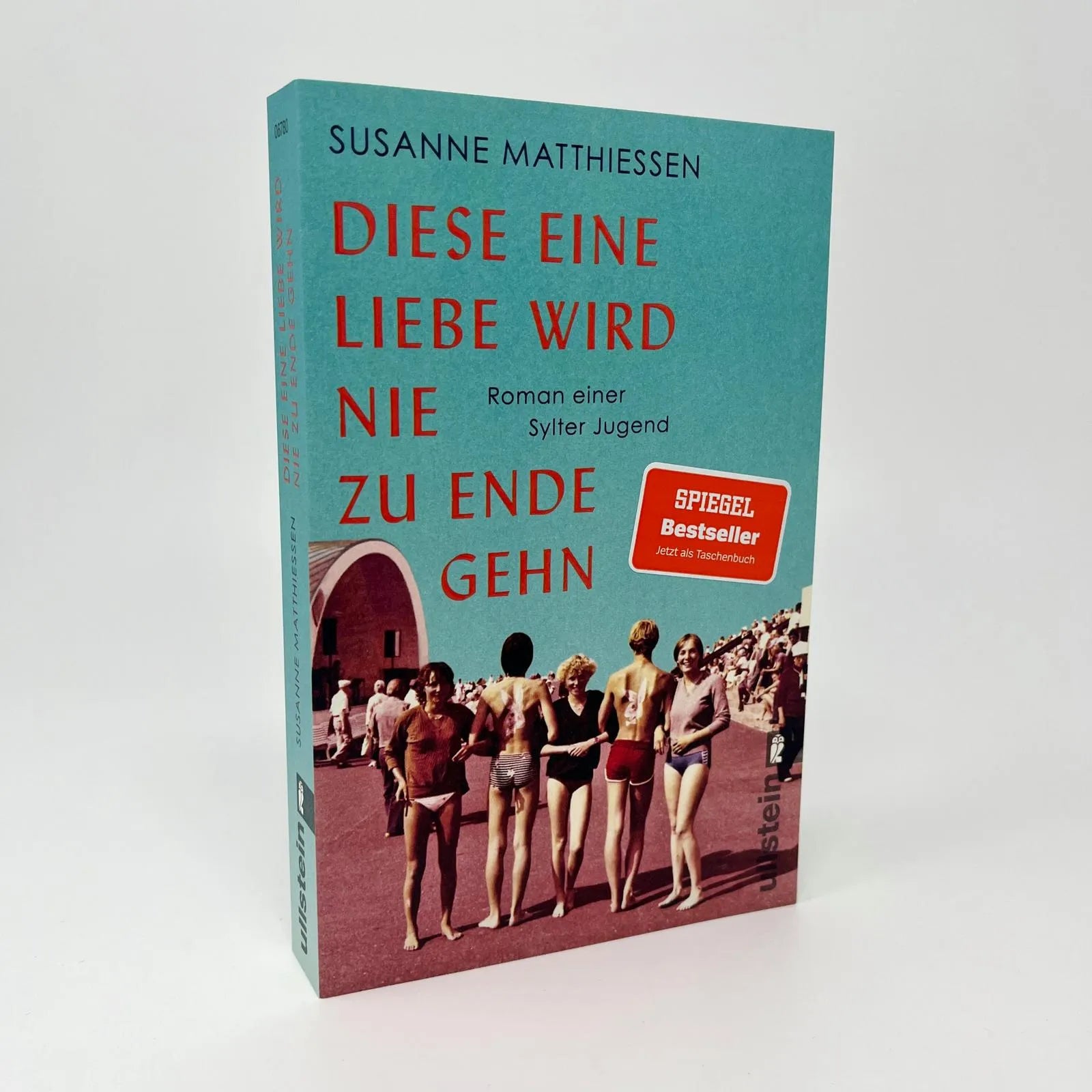 Detailansicht: Diese eine Liebe wird nie zu Ende gehn (Taschenbuch)