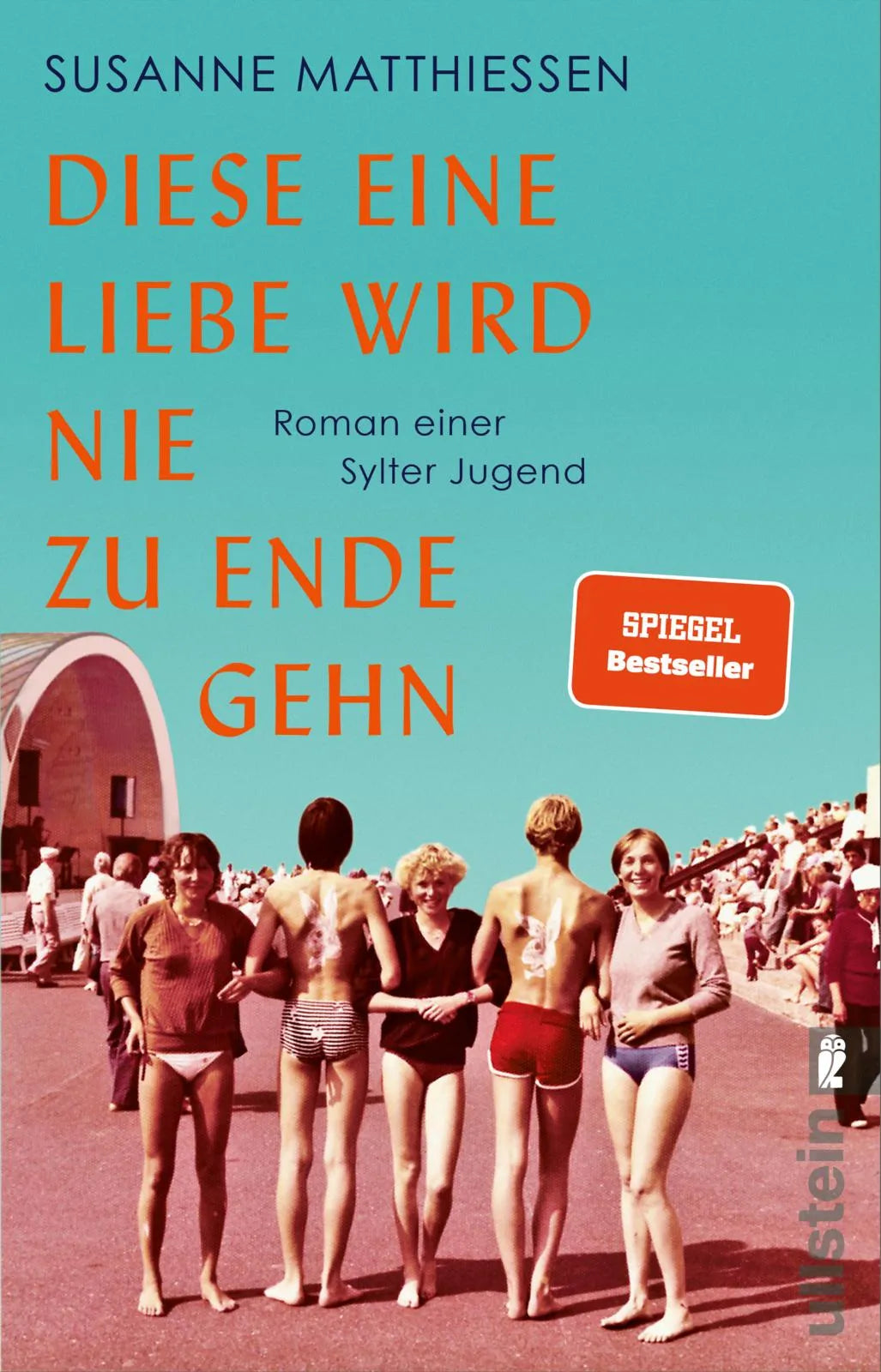 Cover: Diese eine Liebe wird nie zu Ende gehn (Taschenbuch) von Susanne Matthiessen