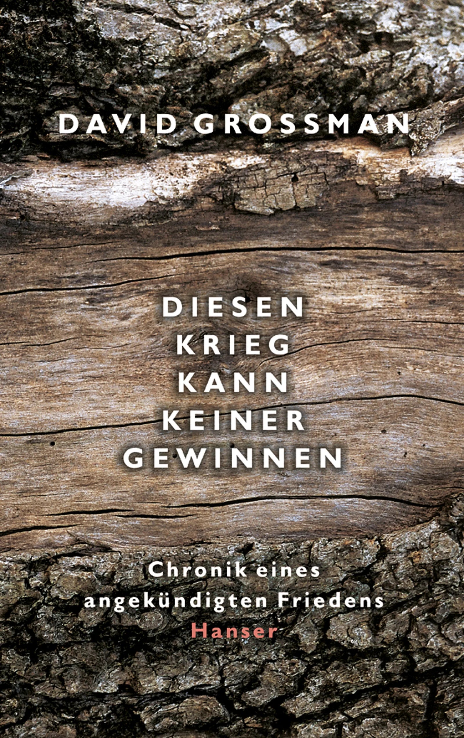Buchcover von 'Diesen Krieg kann keiner gewinnen' - Gebundene Ausgabe von David Grossman