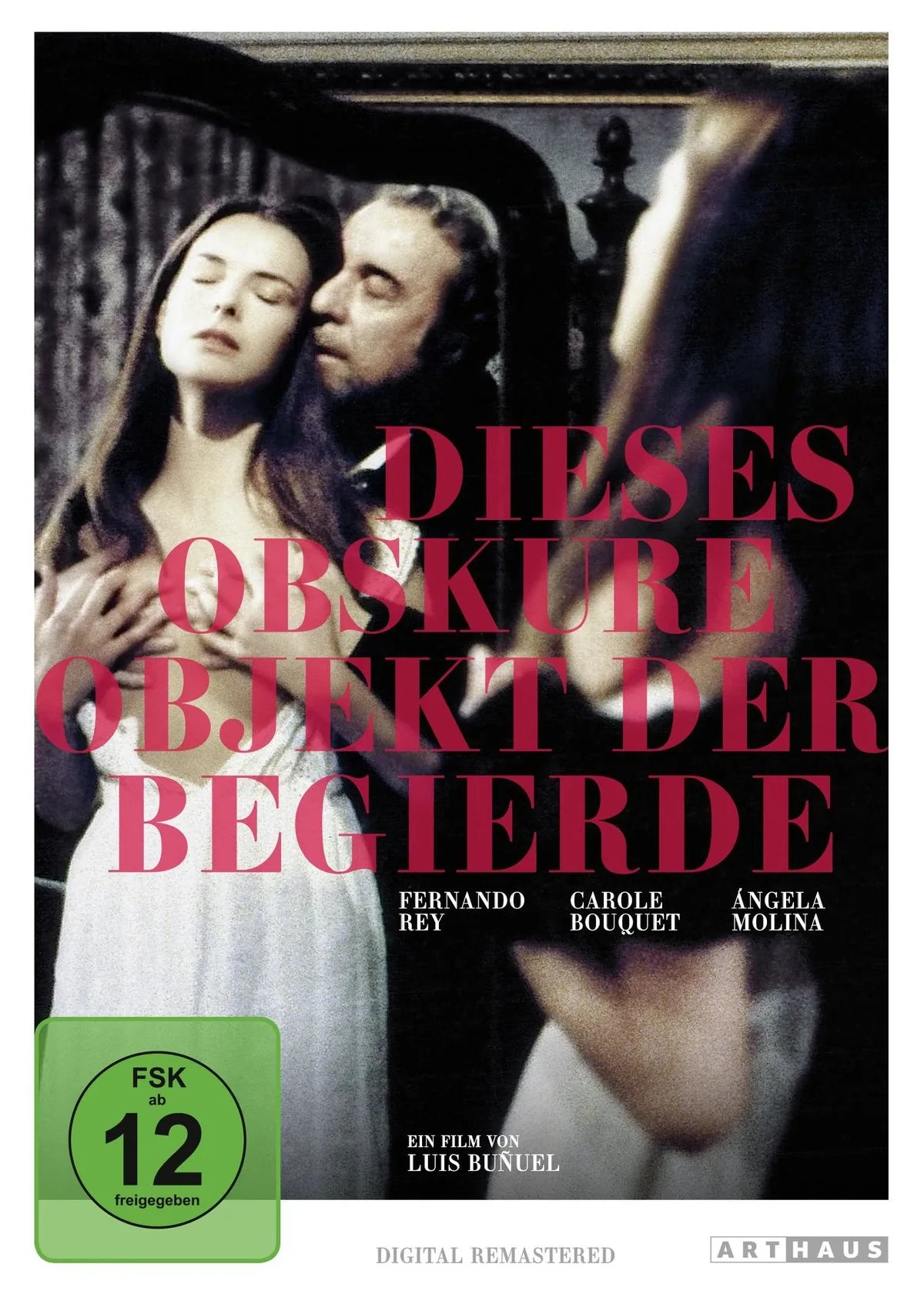Dieses obskure Objekt der Begierde - DVD