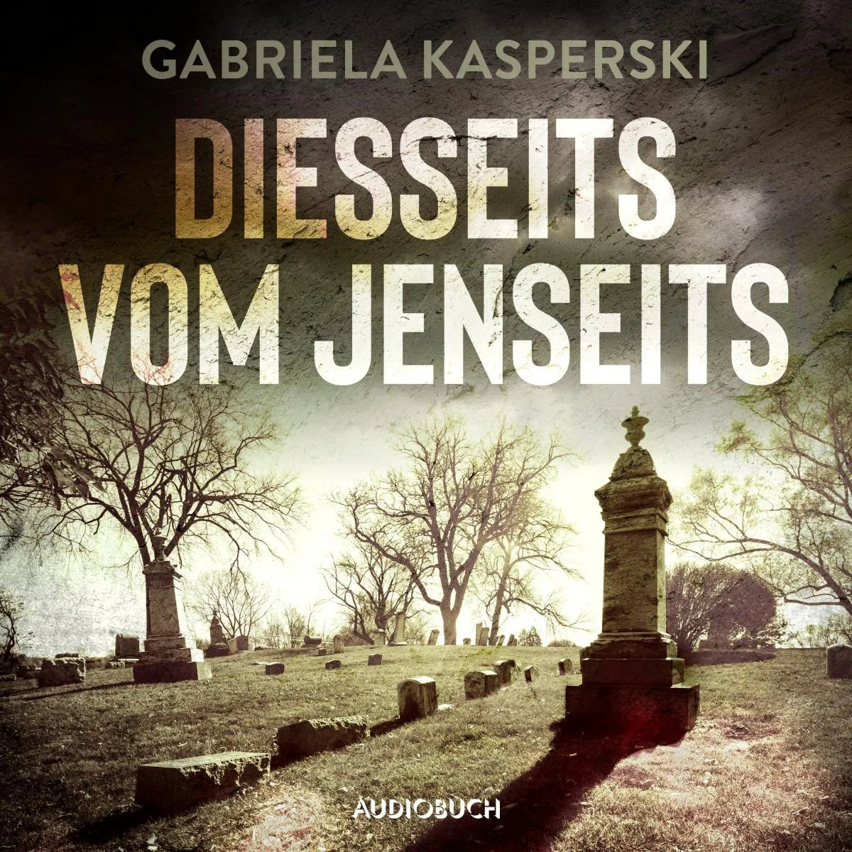 Cover: Diesseits vom Jenseits (Hörbuch Download) von Gabriela Kasperski