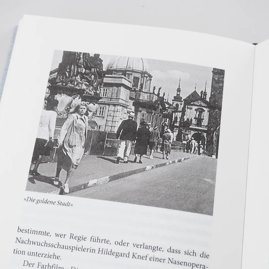 Produktansicht: Diktatoren im Kino (Gebundene Ausgabe)