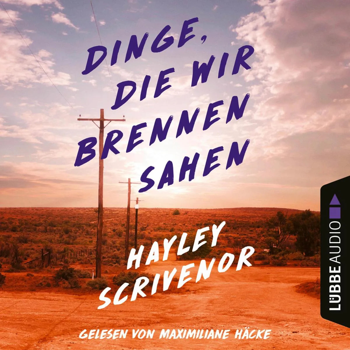 Cover: Dinge, die wir brennen sahen (Hörbuch Download) von Hayley Scrivenor