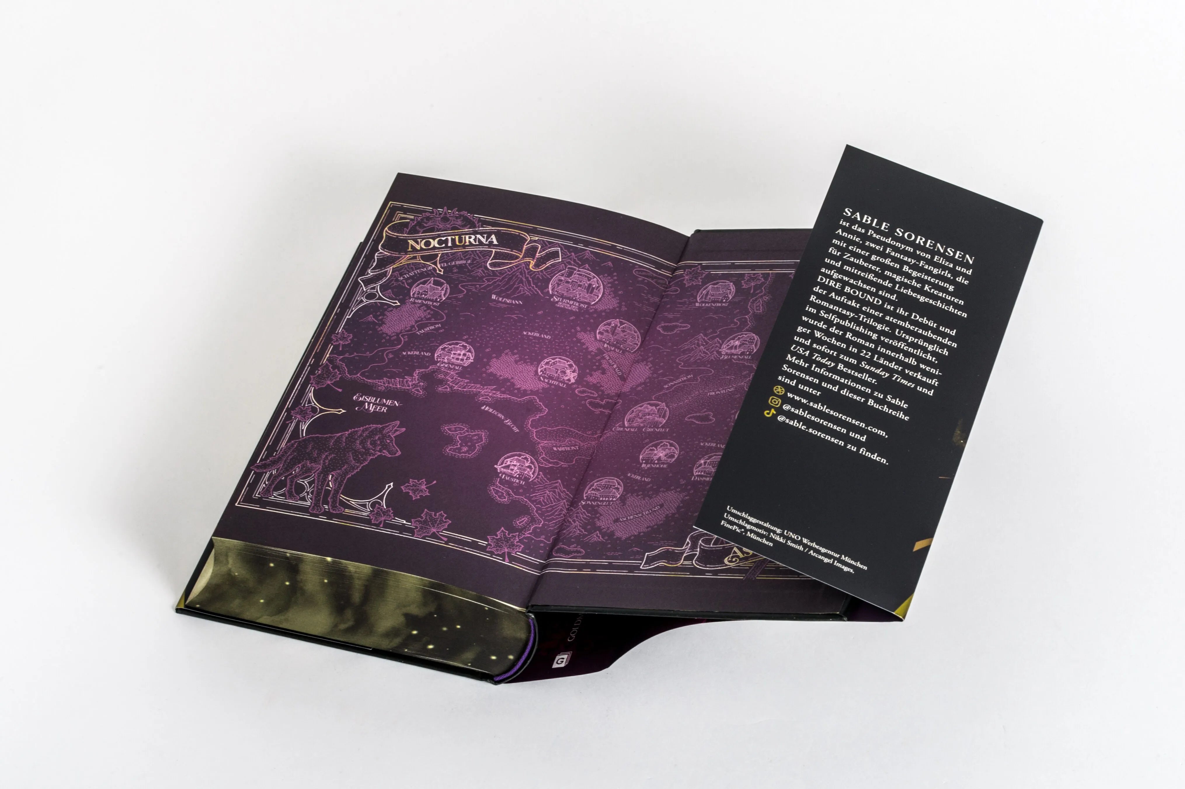 Detailansicht: Dire Bound (Hardcover)