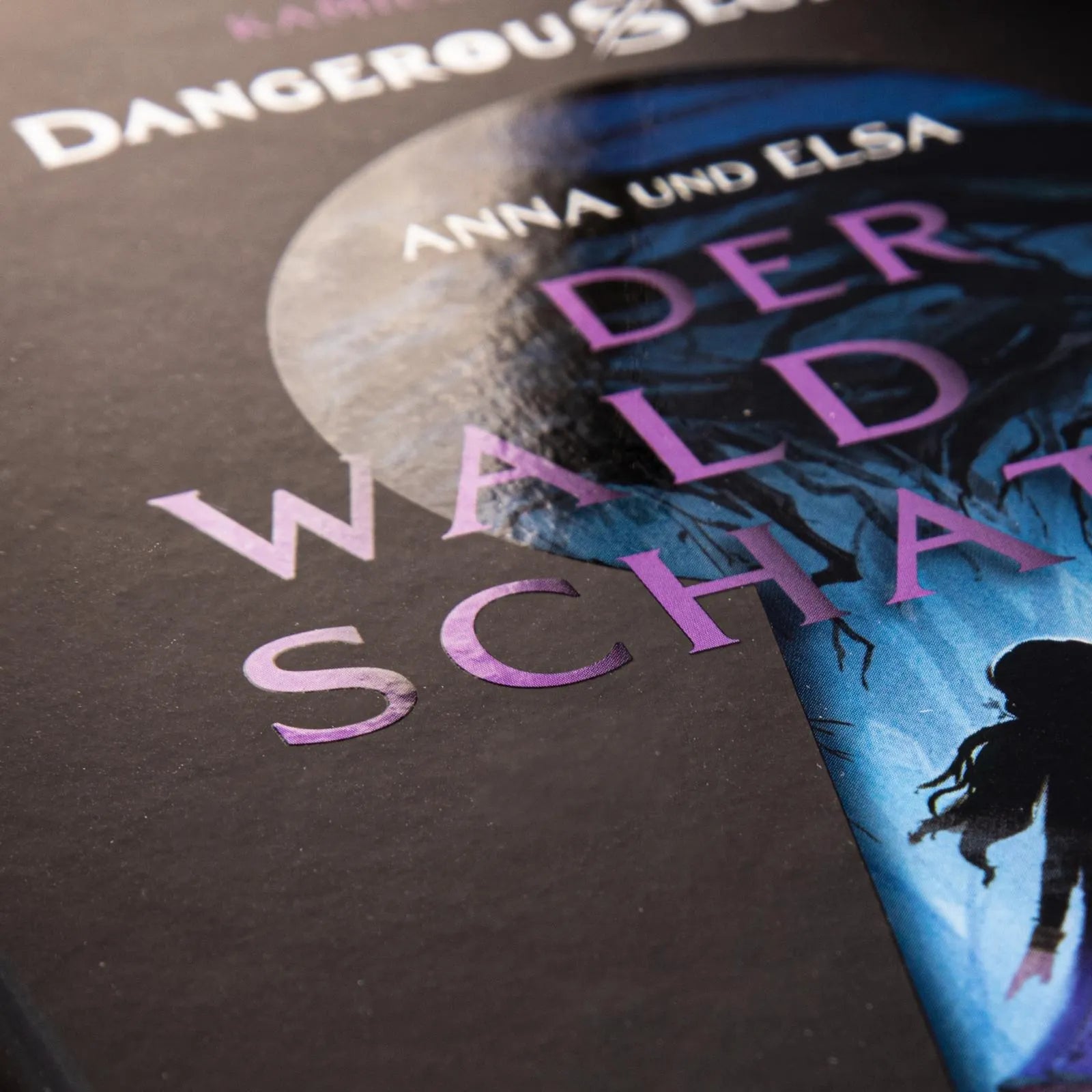 Produktansicht: Disney – Dangerous Secrets 4: Elsa und Anna: DER WALD DER SCHATTEN (Gebundene Ausgabe)