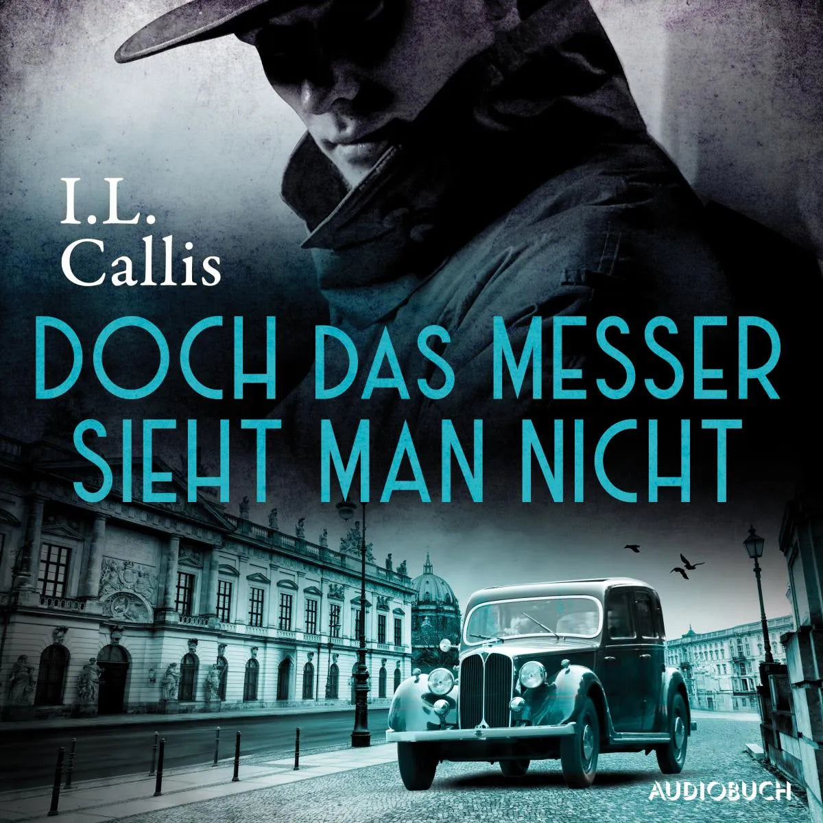 Cover: Doch das Messer sieht man nicht (Hörbuch Download) von I.L. Callis