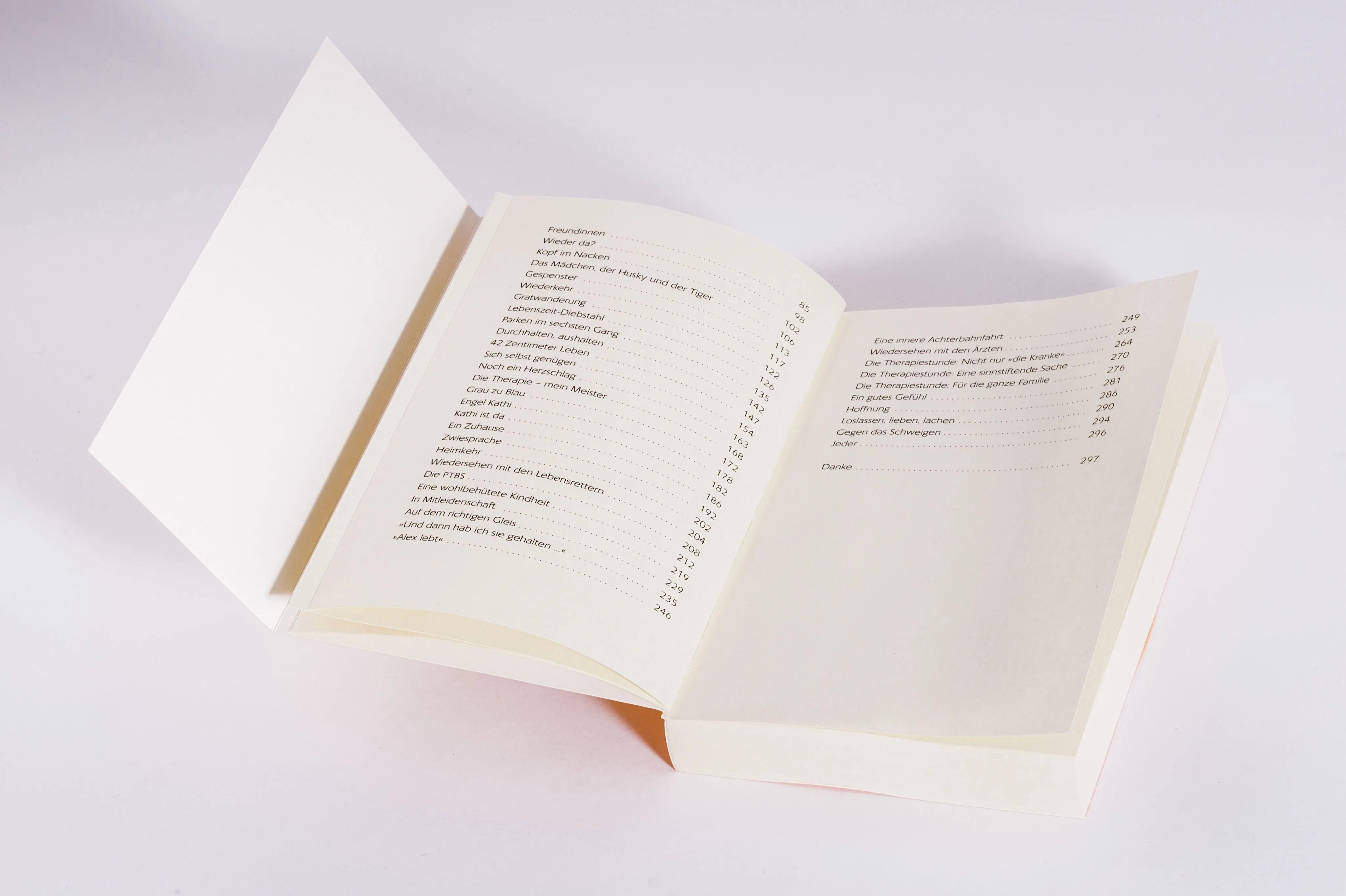 Detailansicht: Doch noch ein neuer Tag (Paperback)