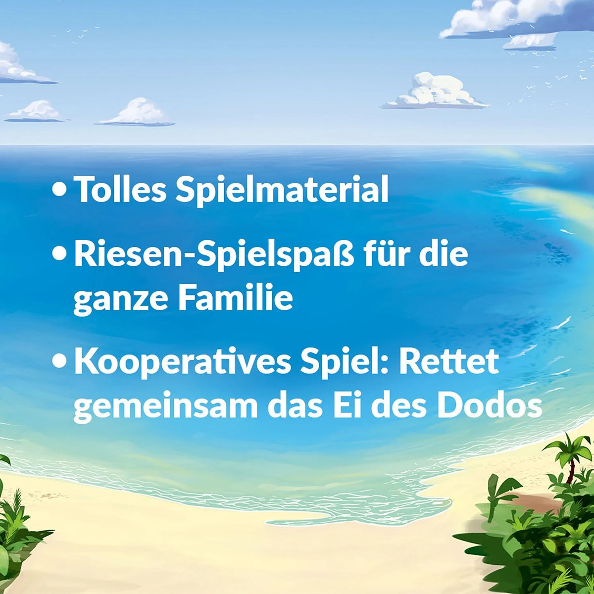 Dodo – Ansicht