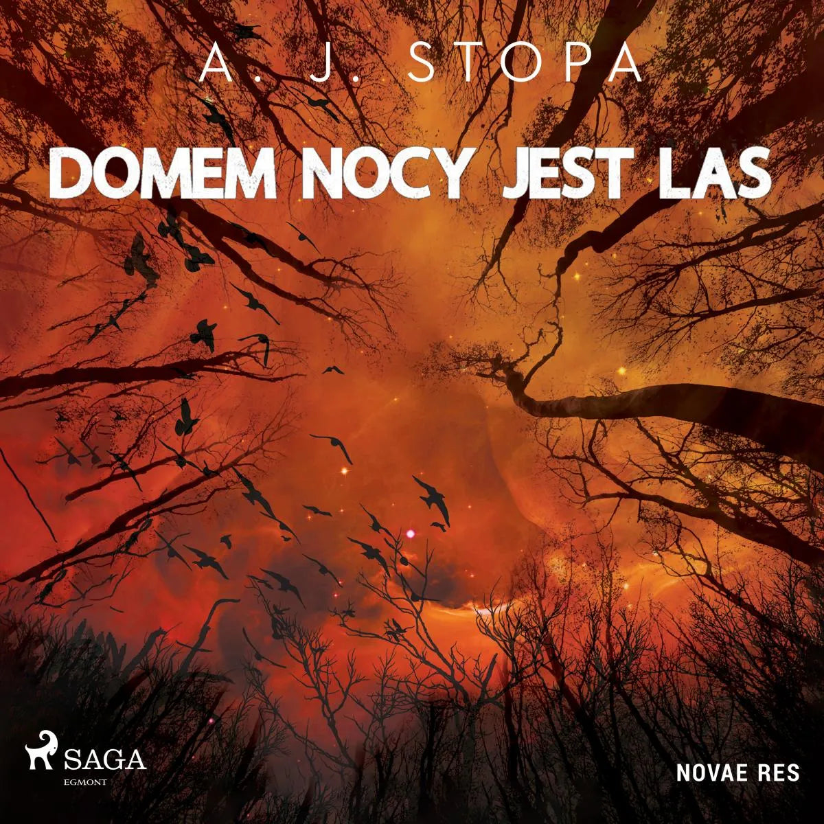 Cover: Domem nocy jest las (Hörbuch Download) von A.J. STOPA