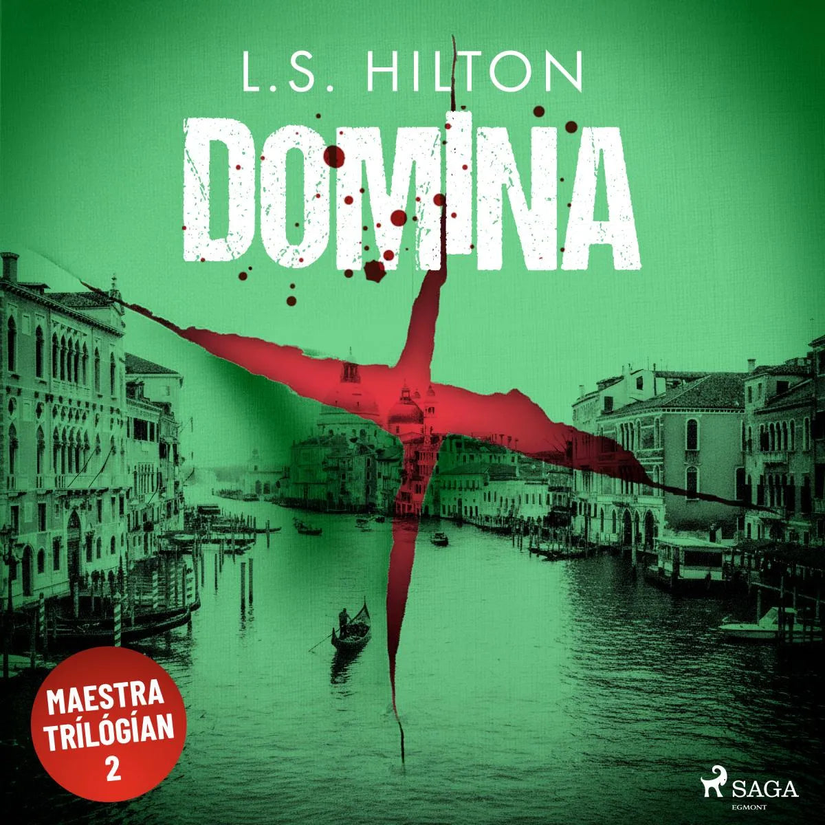 Cover: Domina (Hörbuch Download) von L.S. Hilton