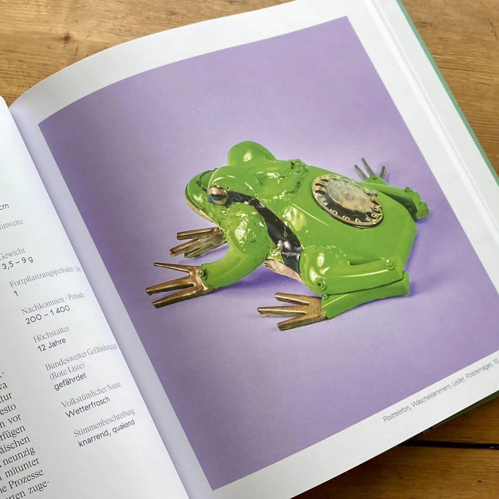 Produktansicht: Tönende Tiere (Gebundene Ausgabe)