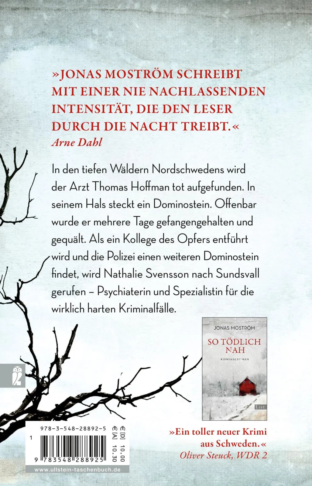 Buchrückseite von 'Dominotod' mit Klappentext - Taschenbuch