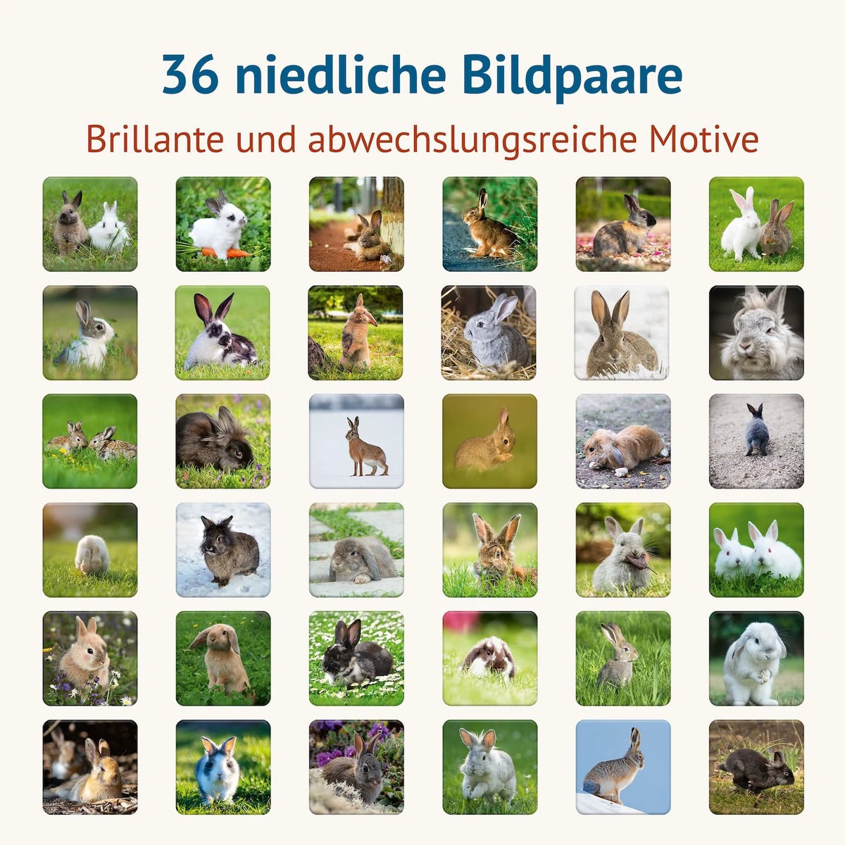 Doppel Hoppel Memospiel – Ansicht