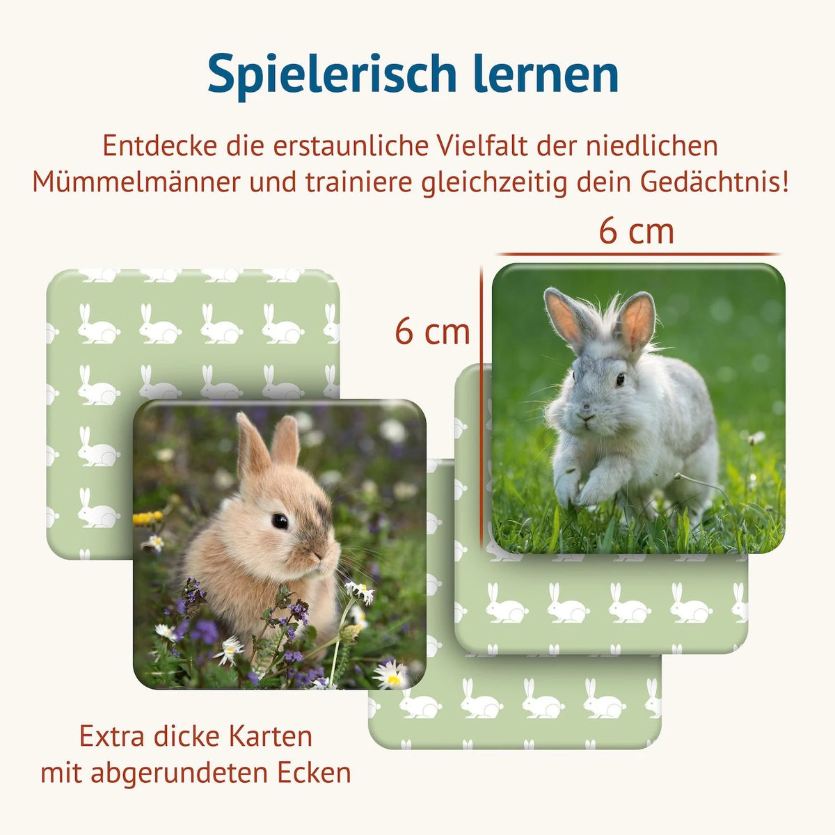 Doppel Hoppel Memospiel – Ansicht