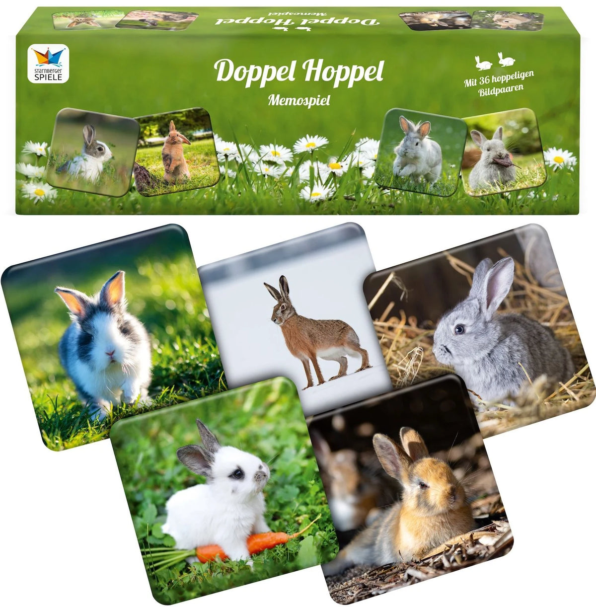 Doppel Hoppel Memospiel – Ansicht
