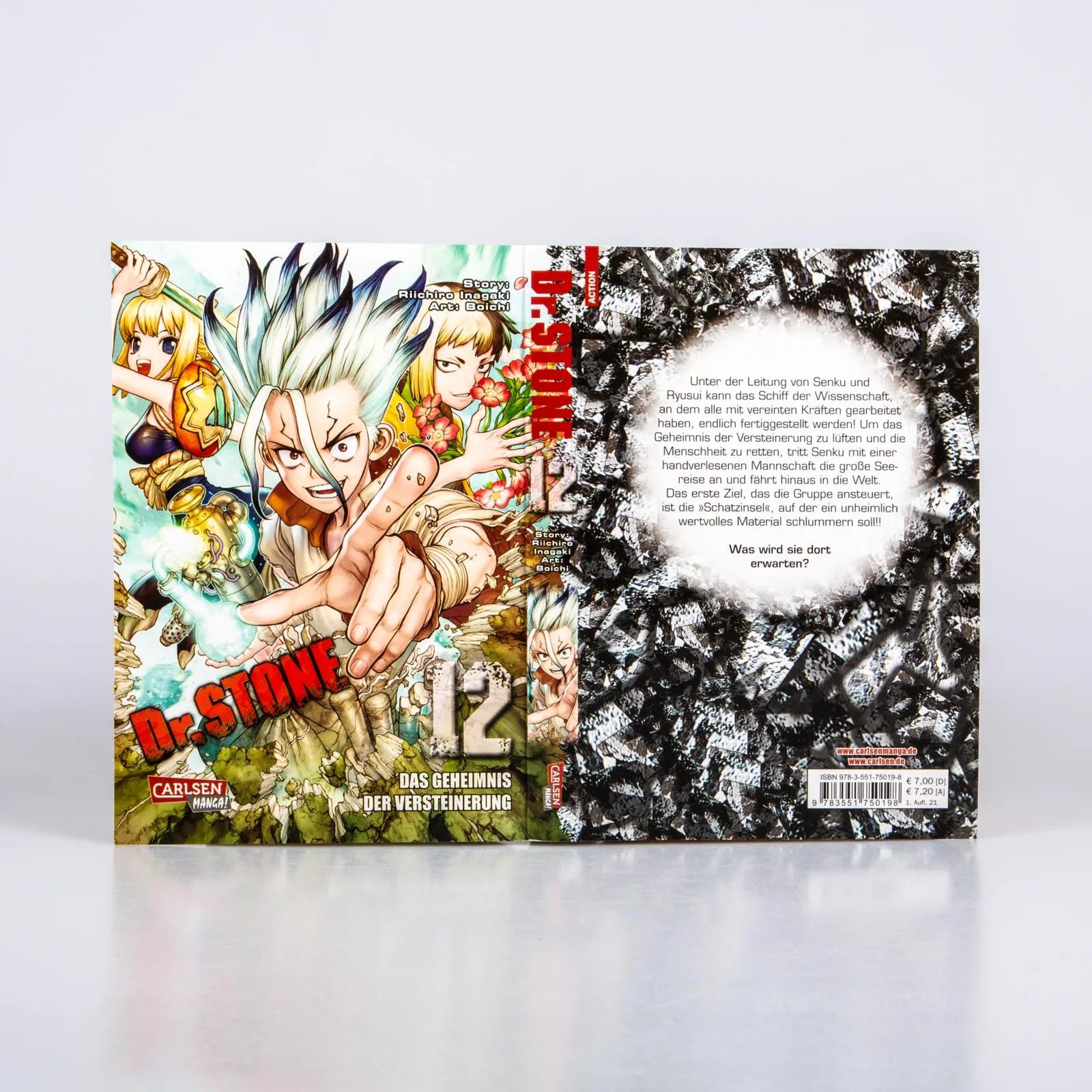 BOICHI - Dr. Stone 12