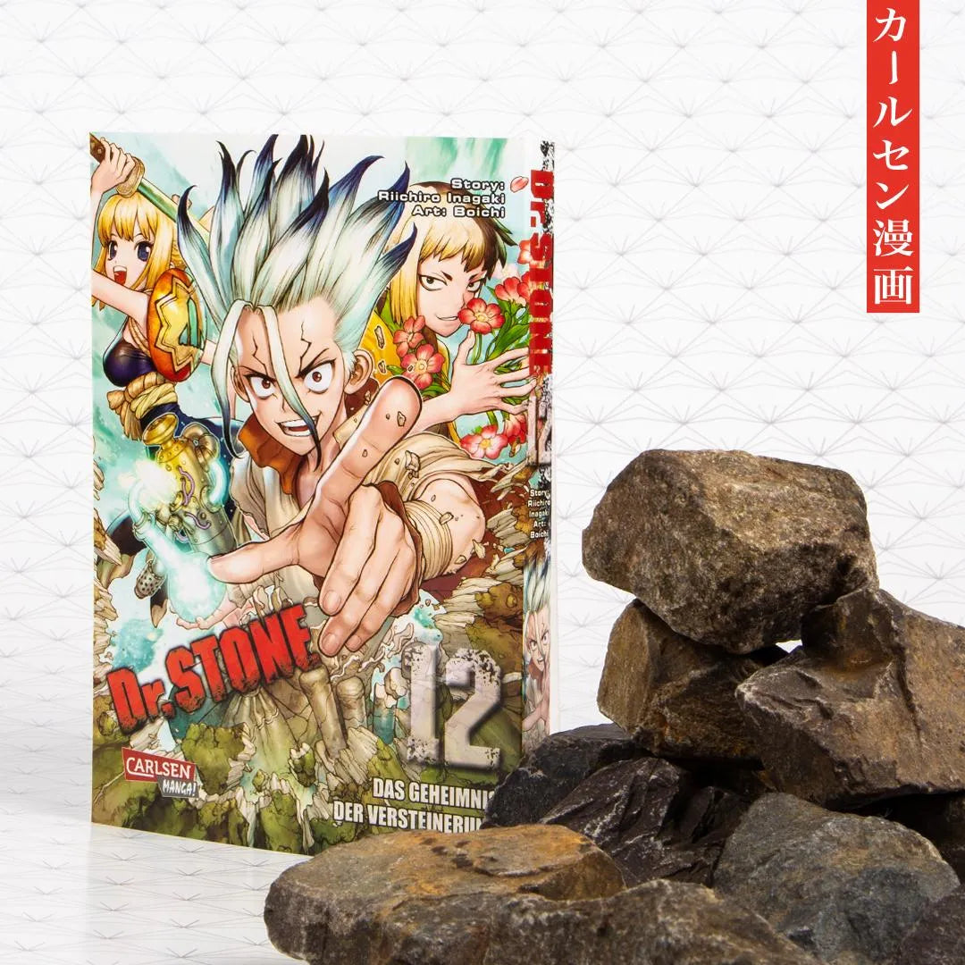 Produktansicht: Dr. Stone 12 (Taschenbuch)