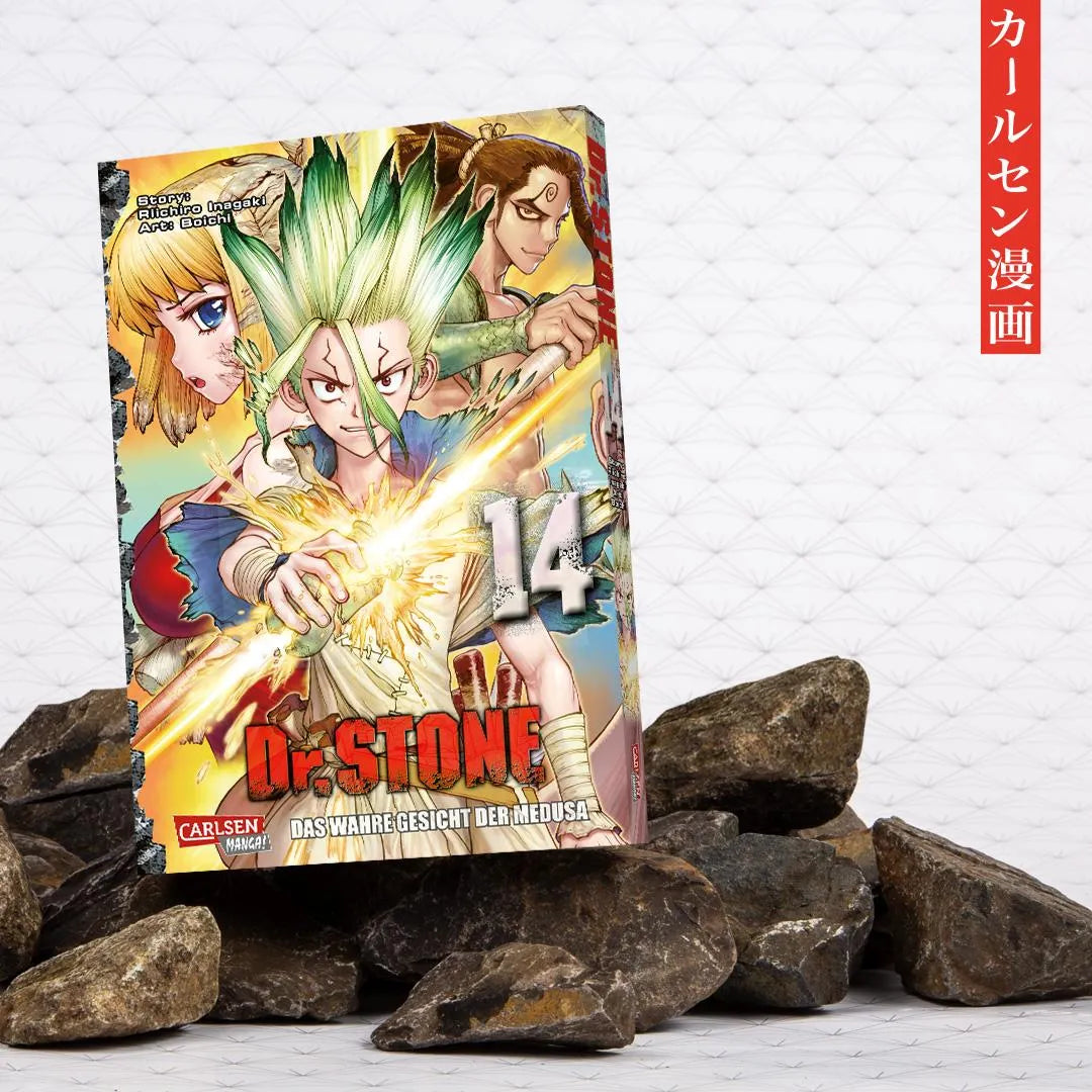 BOICHI - Dr. Stone 14