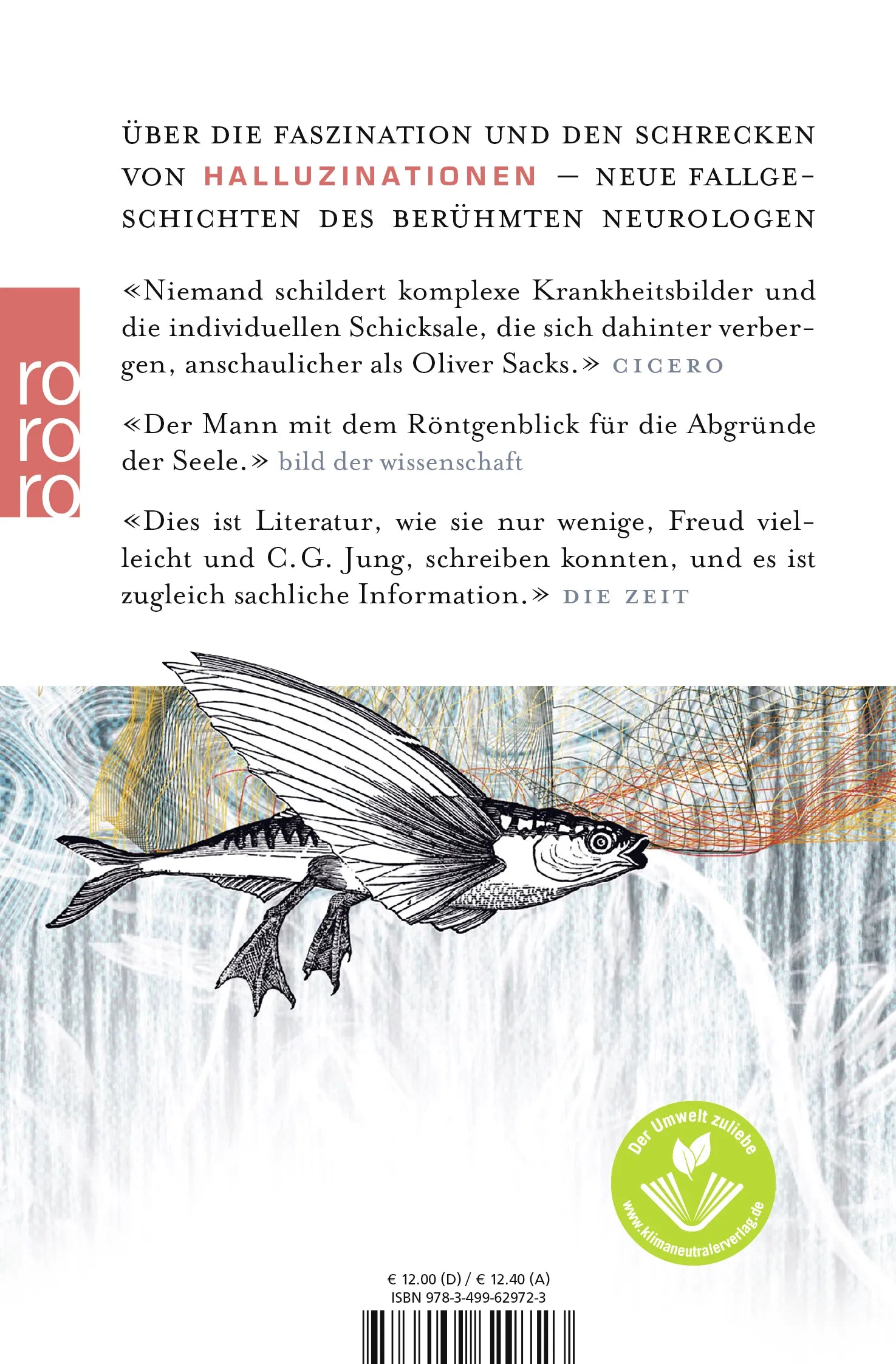 Buchrückseite von 'Drachen, Doppelgänger und Dämonen' mit Klappentext - Taschenbuch