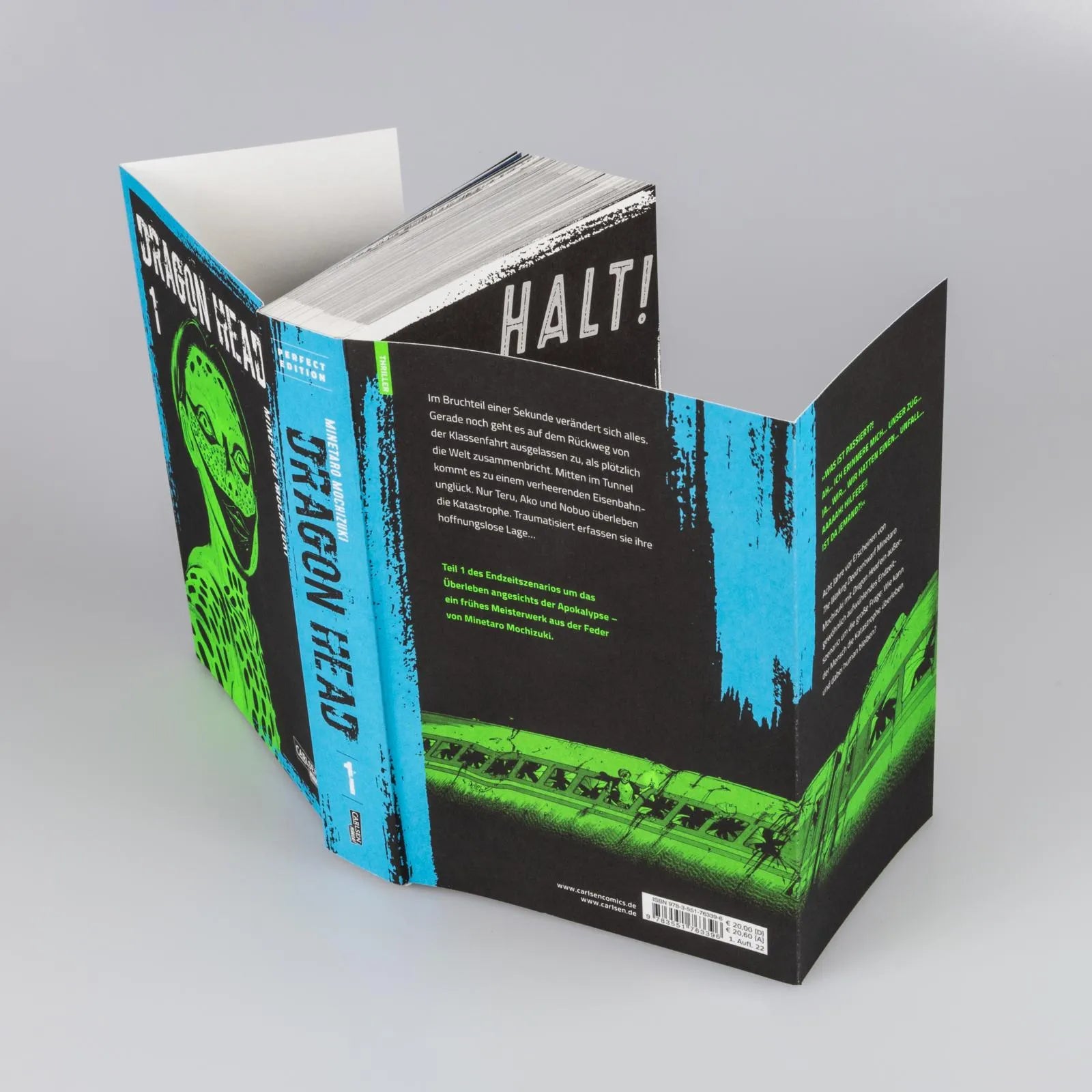 Abbildung von 'Dragon Head Perfect Edition 1'