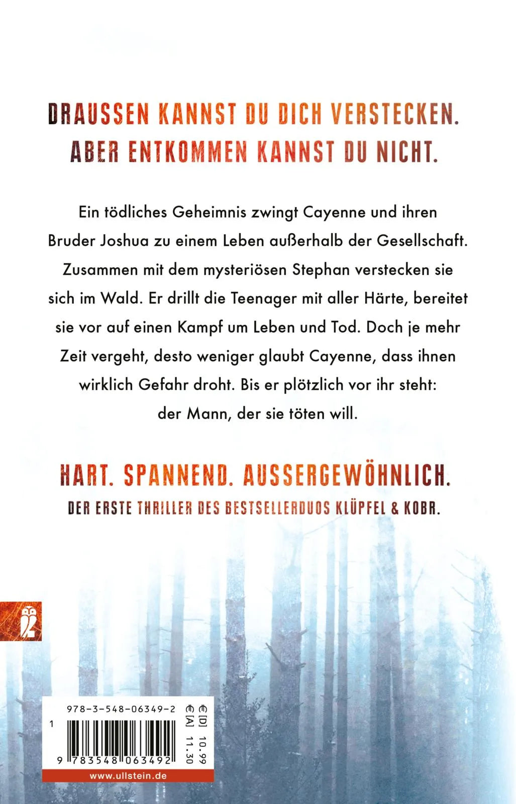 Buchrückseite von 'Draussen' mit Klappentext - Taschenbuch