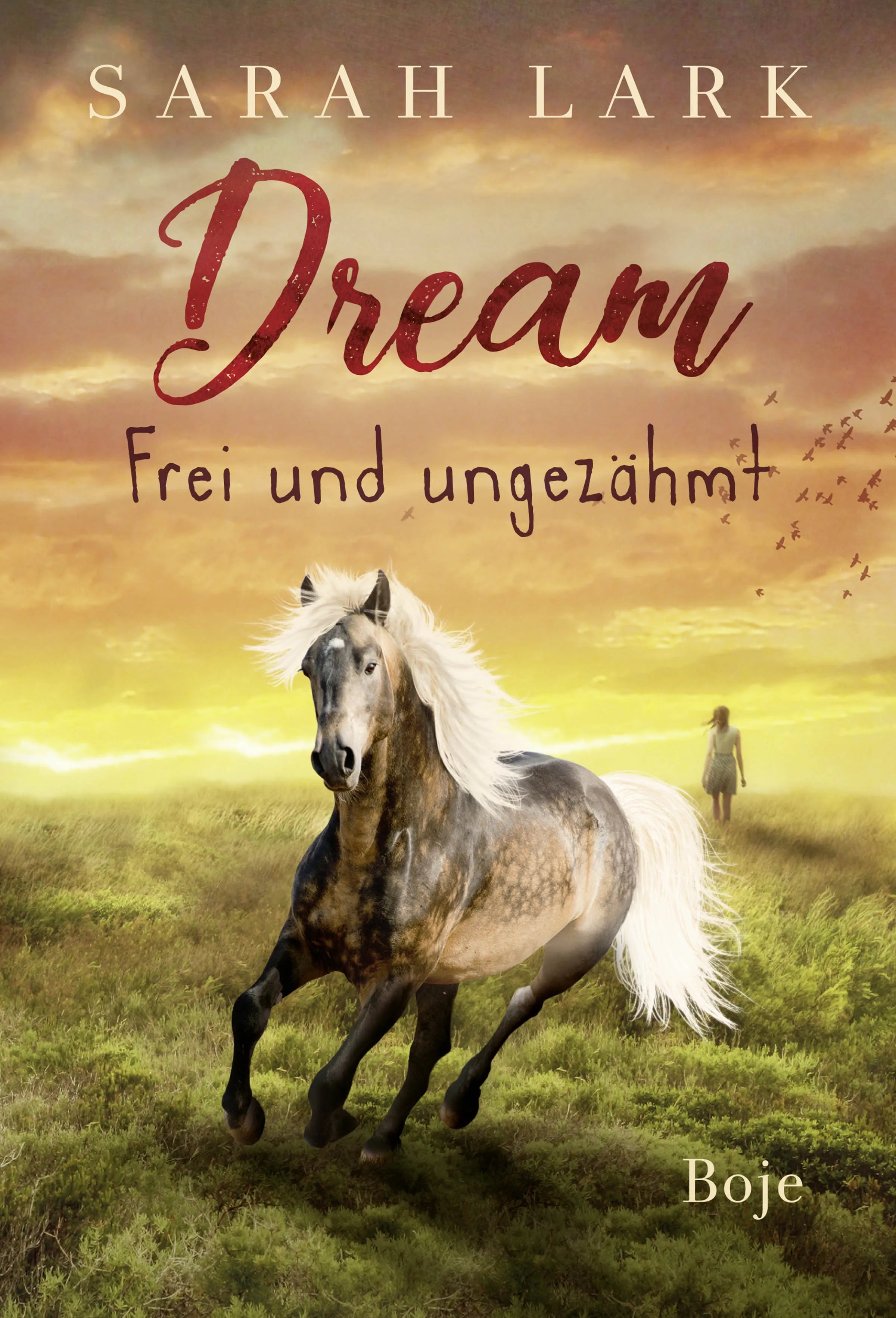 Buchcover von 'Dream - Frei und ungezähmt' - Gebundene Ausgabe von Sarah Lark