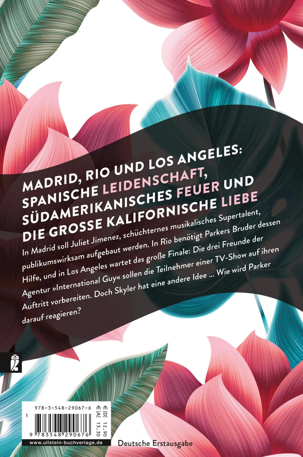 Buchrückseite von 'Dream Maker - Liebe' mit Klappentext - Paperback