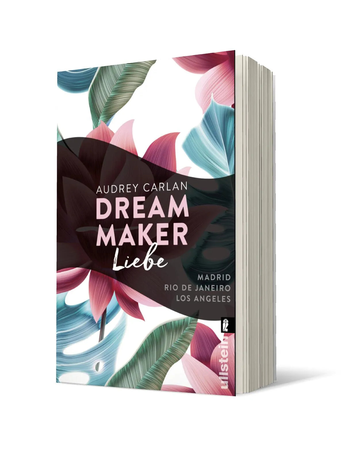 Produktansicht: Dream Maker - Liebe (Paperback)