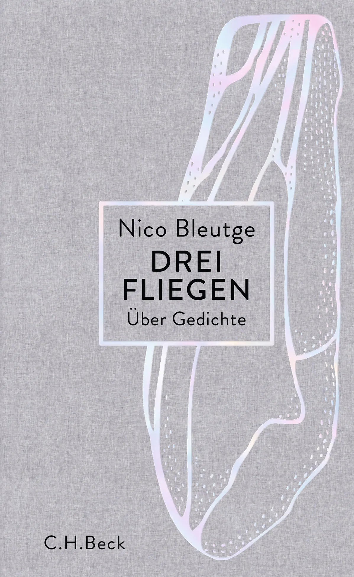 Buchcover von 'Drei Fliegen' - Gebundene Ausgabe von Nico Bleutge