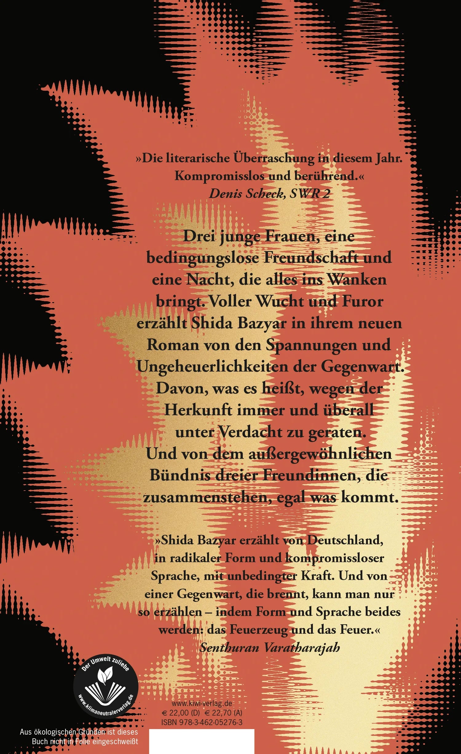 Buchrückseite von 'Drei Kameradinnen' mit Klappentext - Gebundene Ausgabe